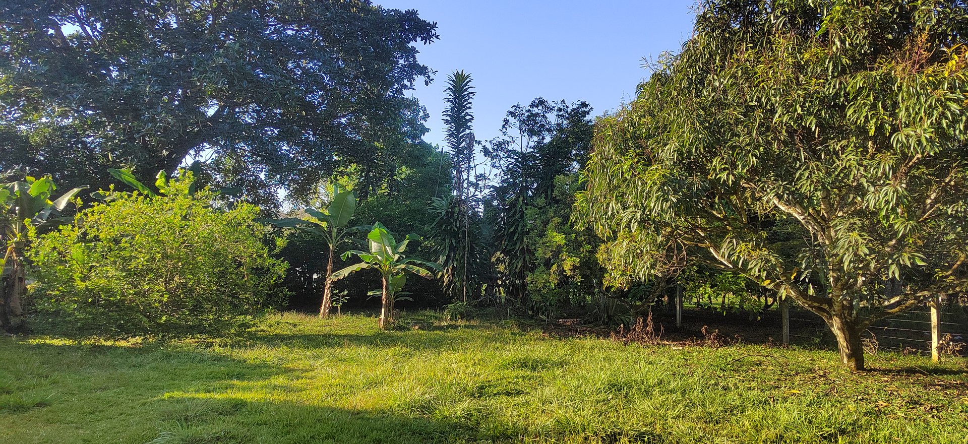 PRIME 1,100 M² LOT IN RESIDENCIAL LOS VIEJOS – FLAT, PRIVATE, AND READY TO BUILD