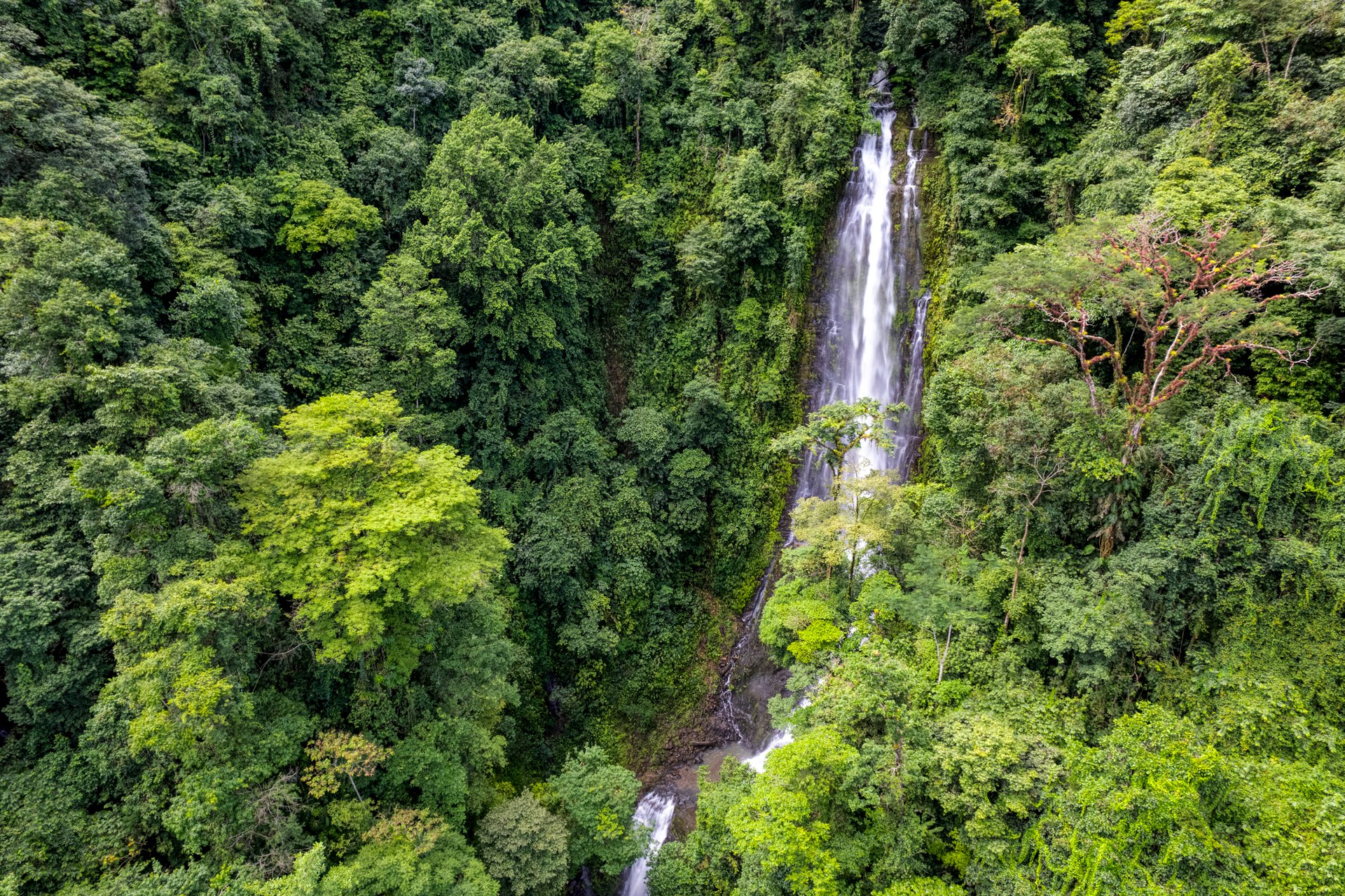 Once in a Lifetime Waterfall Farm in a Pristine Biological Corridor