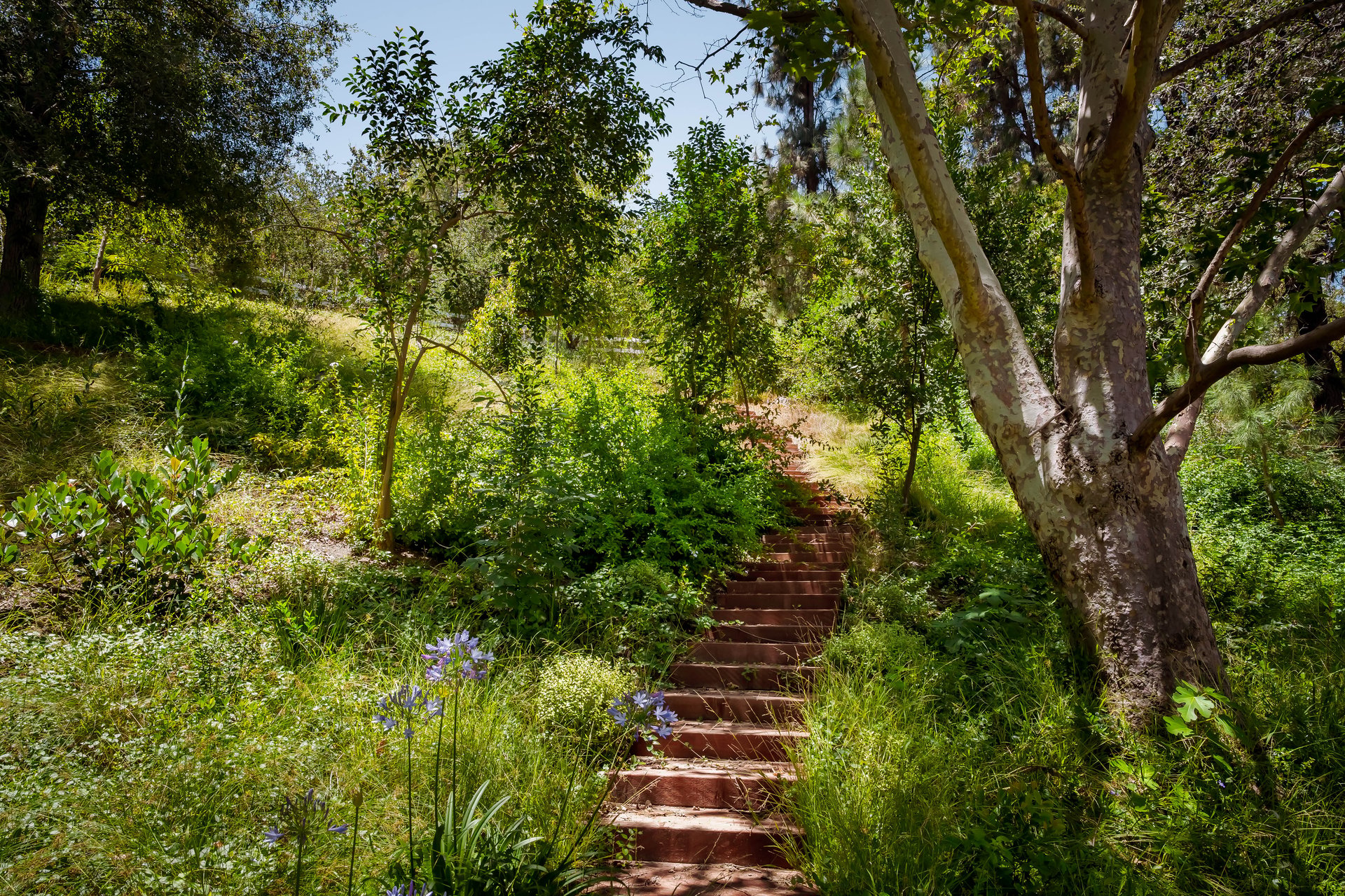 25149 Eldorado Meadow Rd