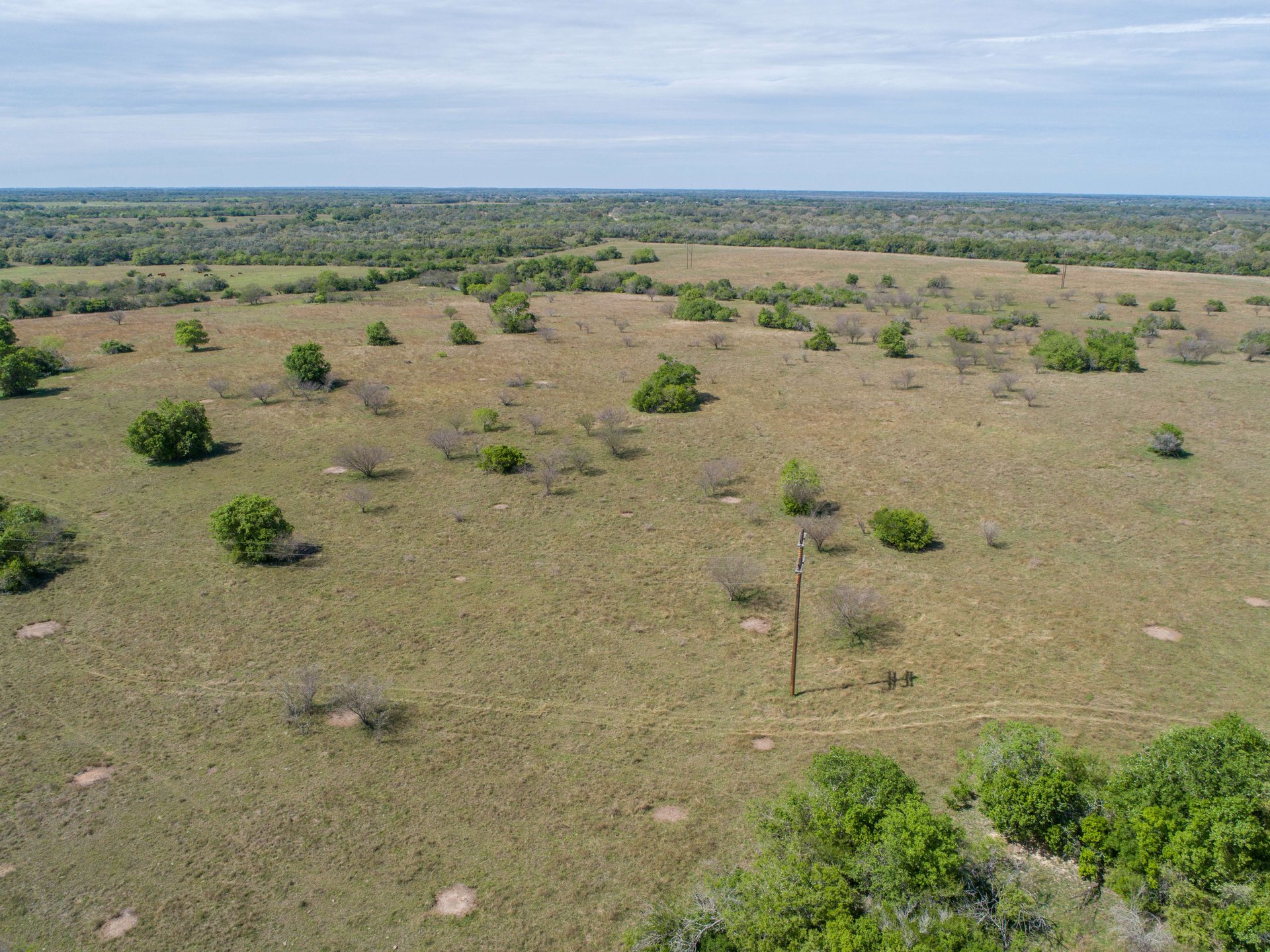 Weesatche 110 Acres