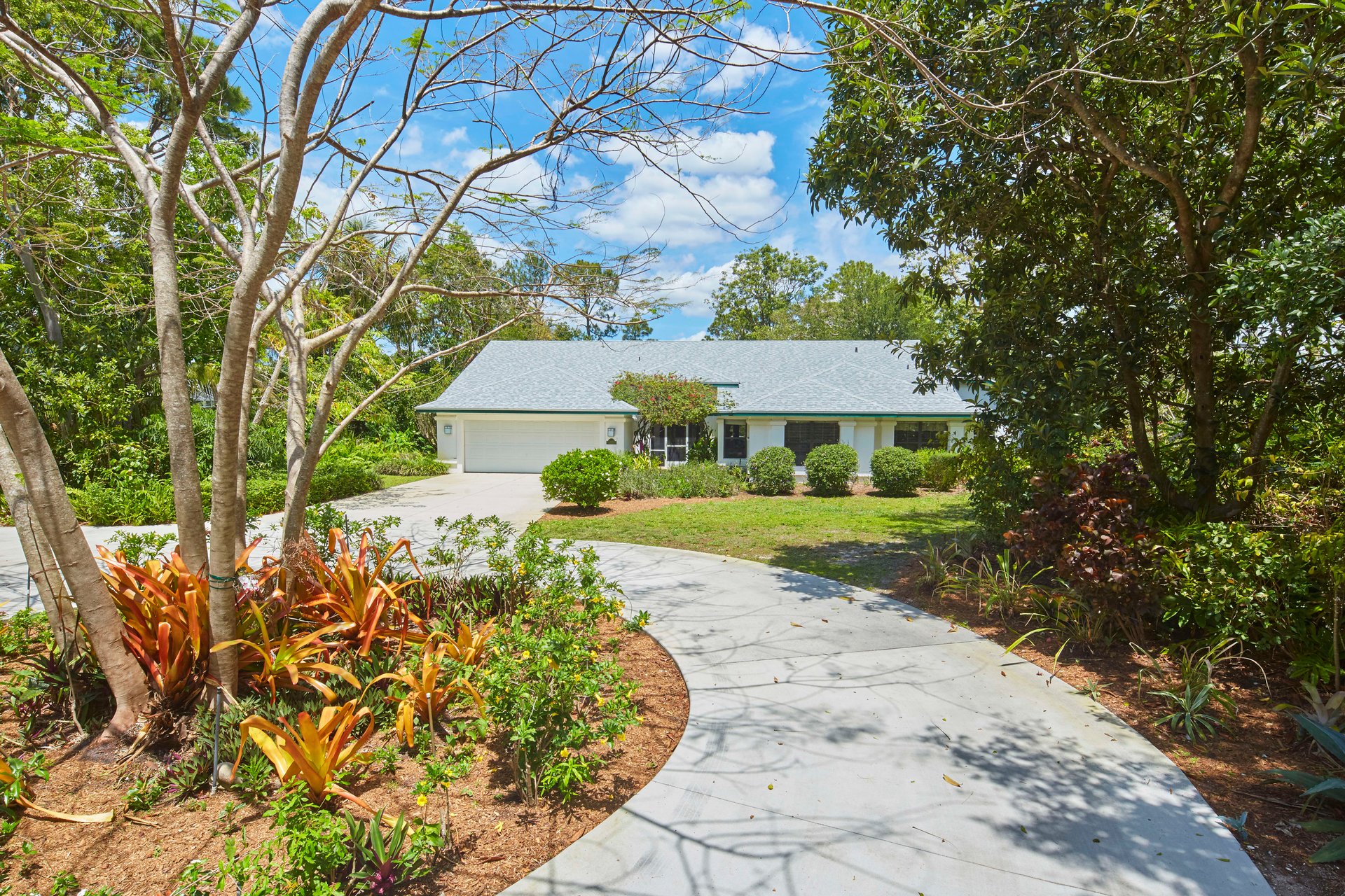 241 CARICA ROAD