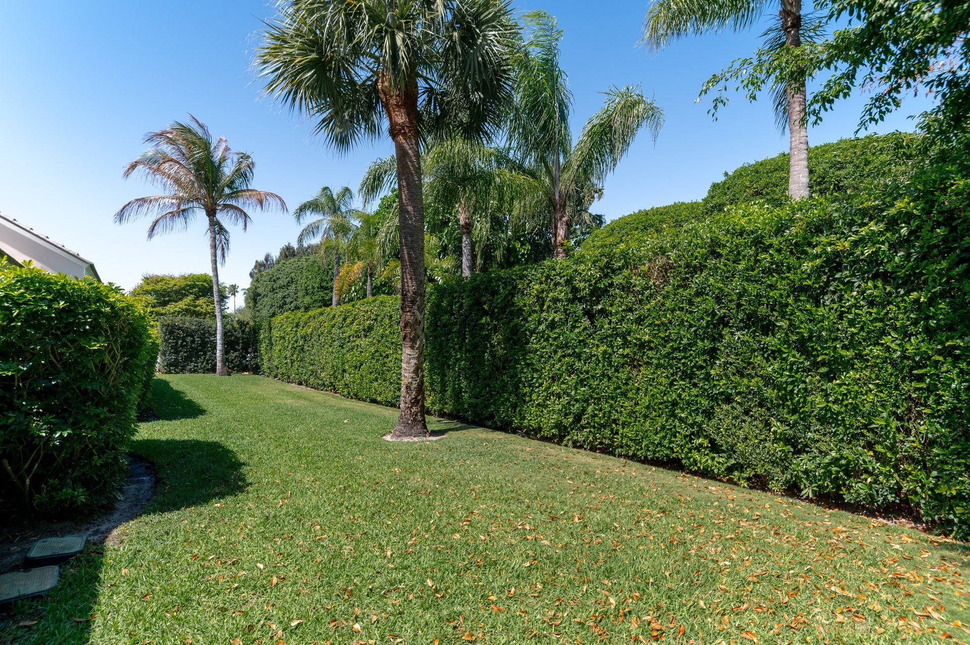 74 Gomez Rd