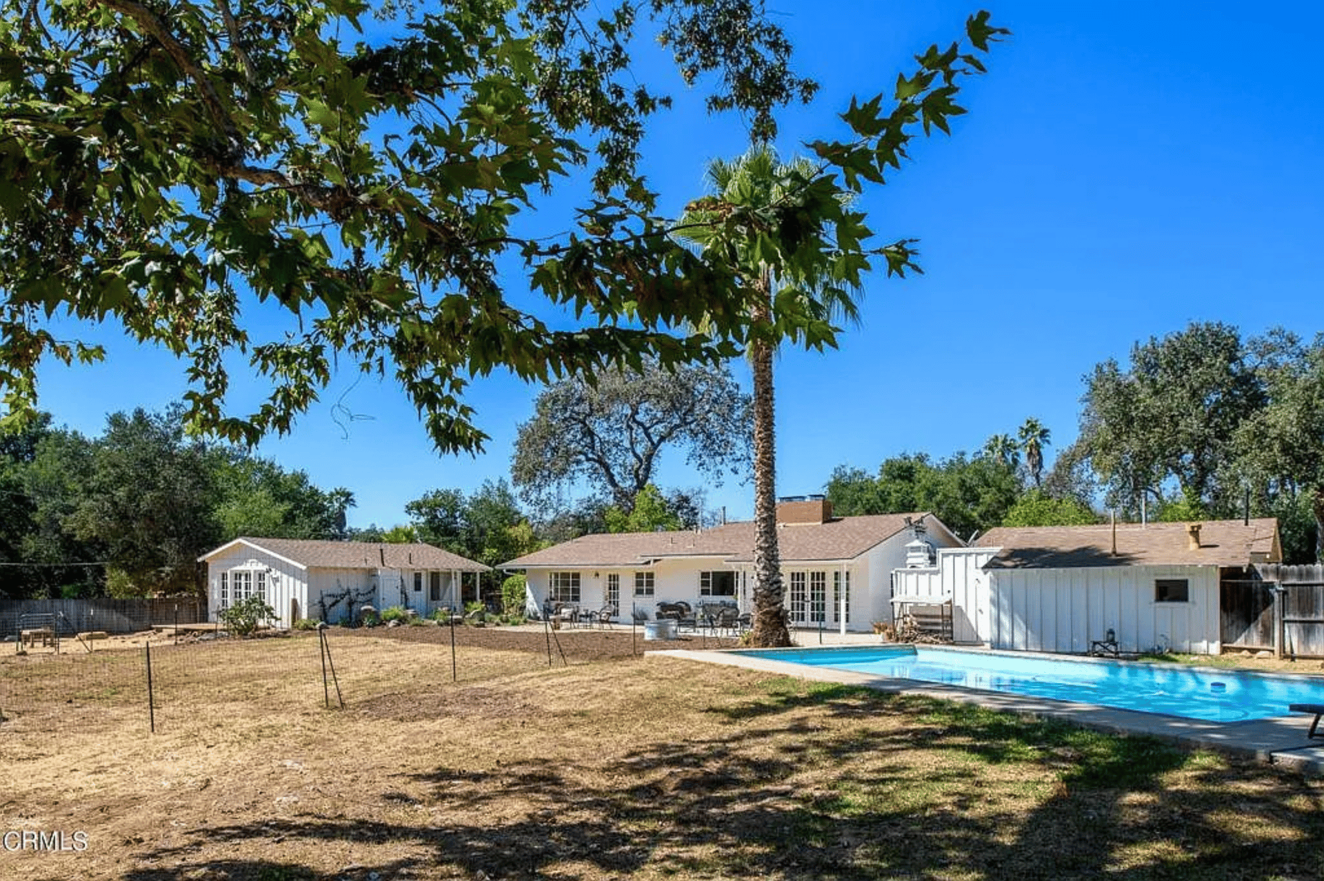 Home’s backyard with a swimming pool, patio seating, detached outbuildings, and a tall palm tree.
