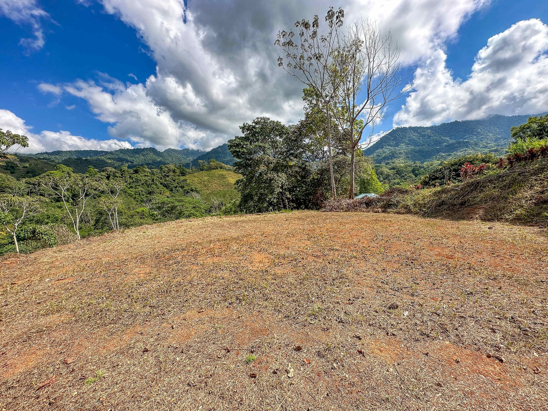 Lot With Two Plantels, Panoramic Mountain And Jungle Views