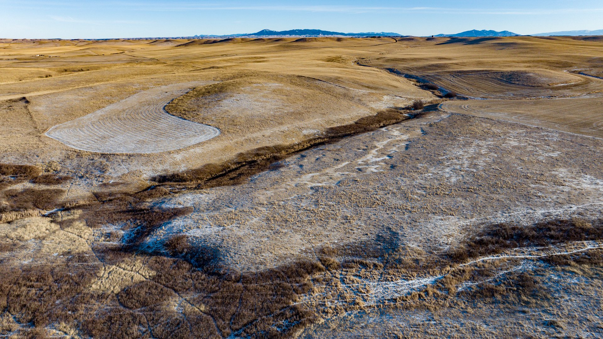 Blood Coulee Ranch