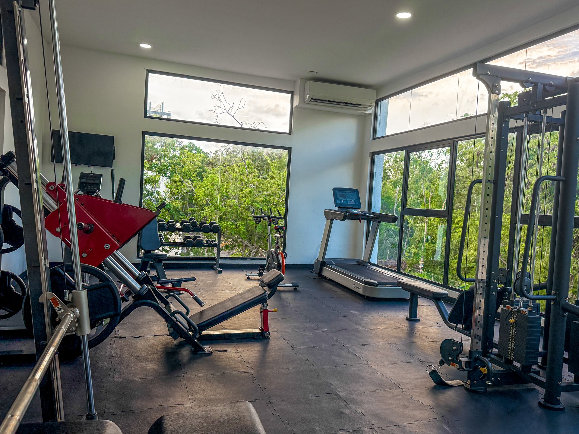 Studio Naia  | Incredible Price