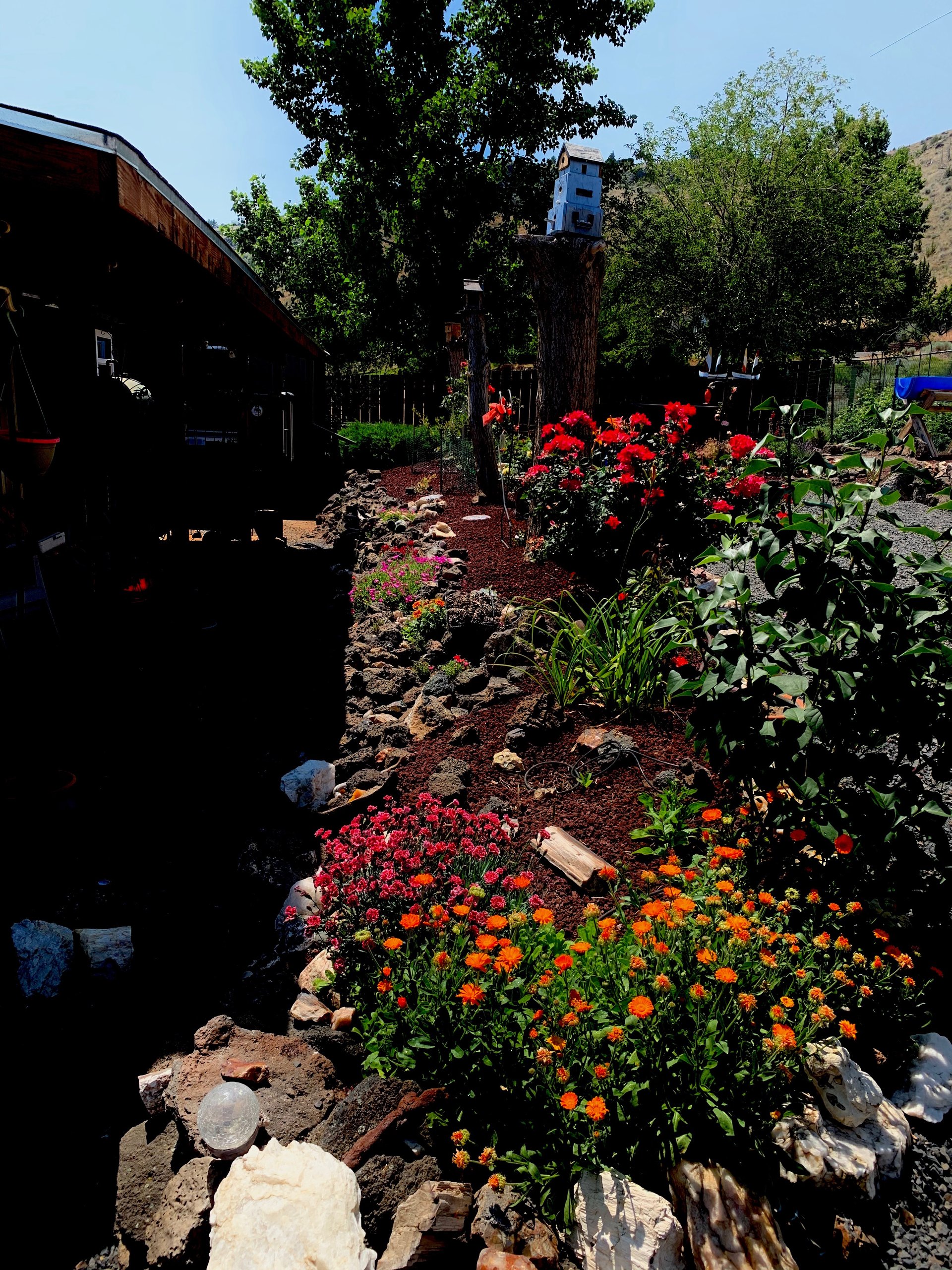 11564 SW Horny Hollow Trail 