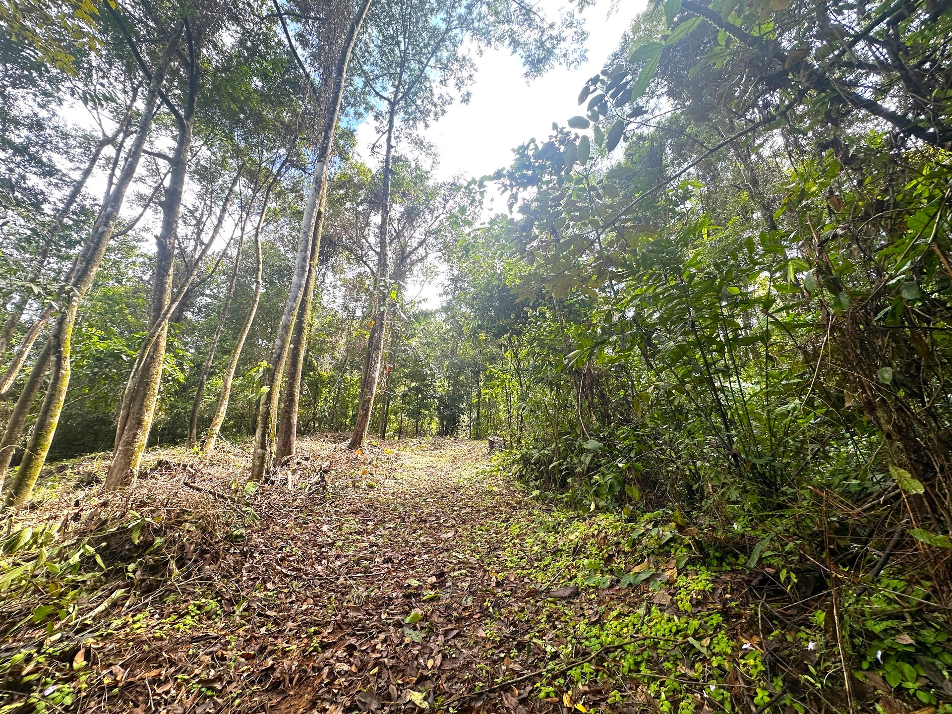 Mountain View Building Lot in Prestigious Gated Community With Private Waterfall & Two Building Sites