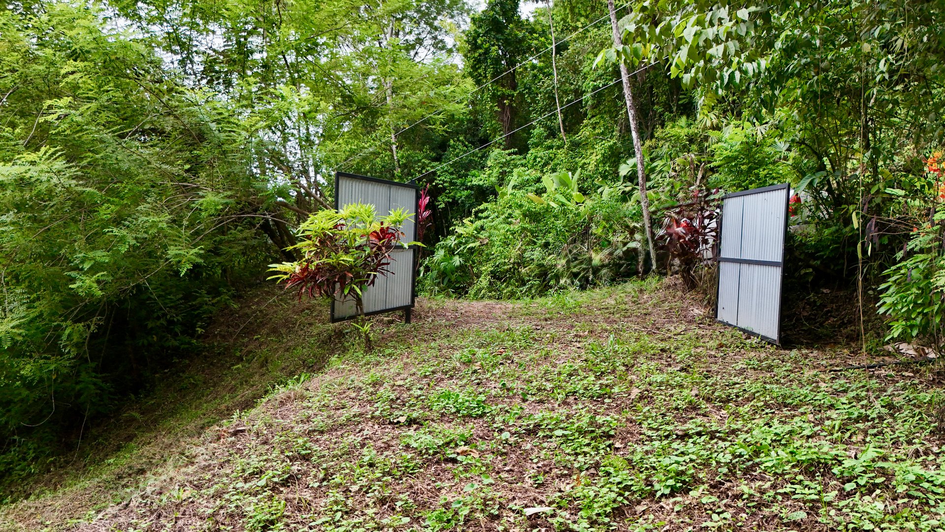 Tres Ríos Jungle Sanctuary | Ready-to-Build Lot Surrounded by Nature