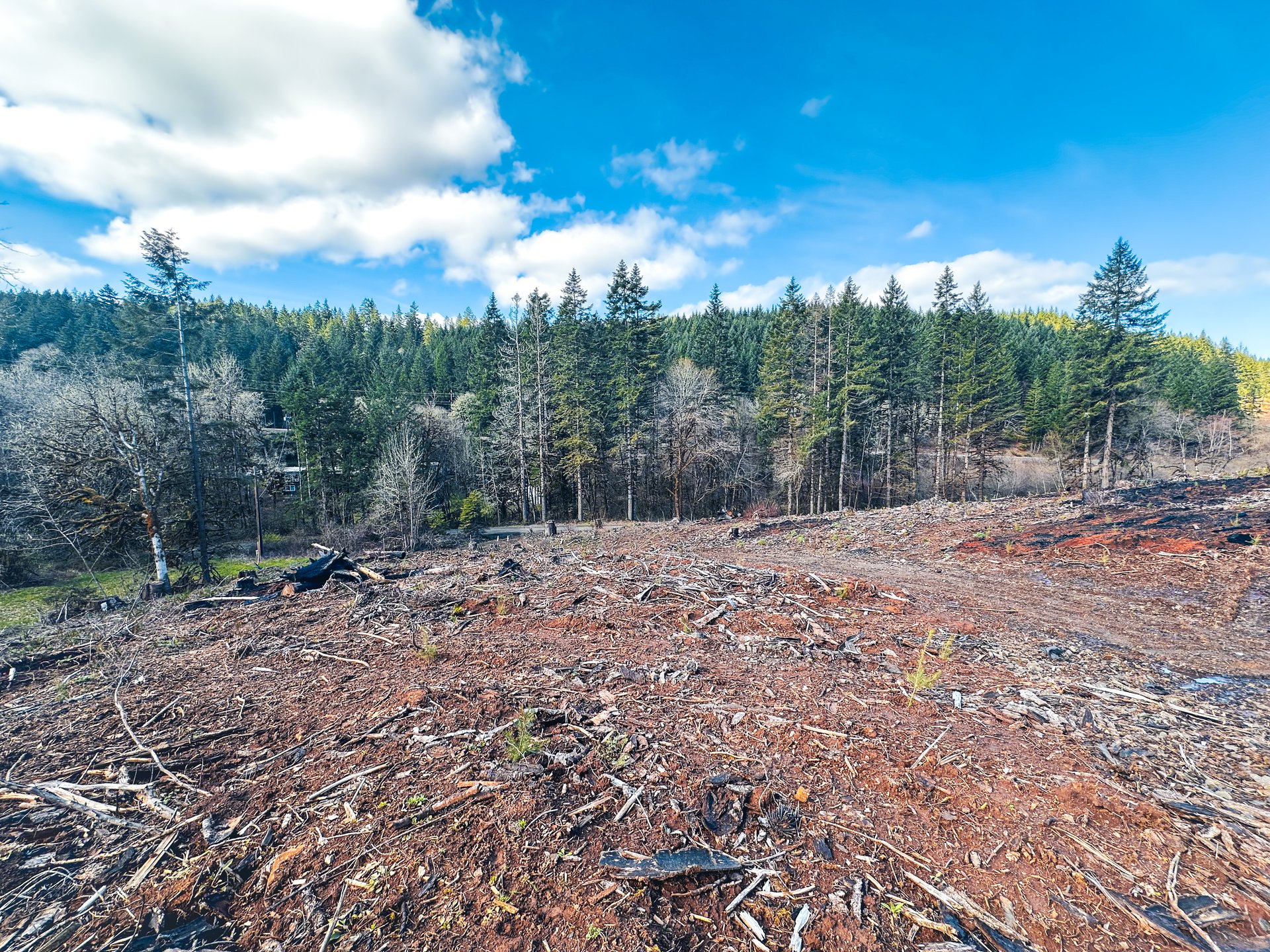 Sharewater Homesite
