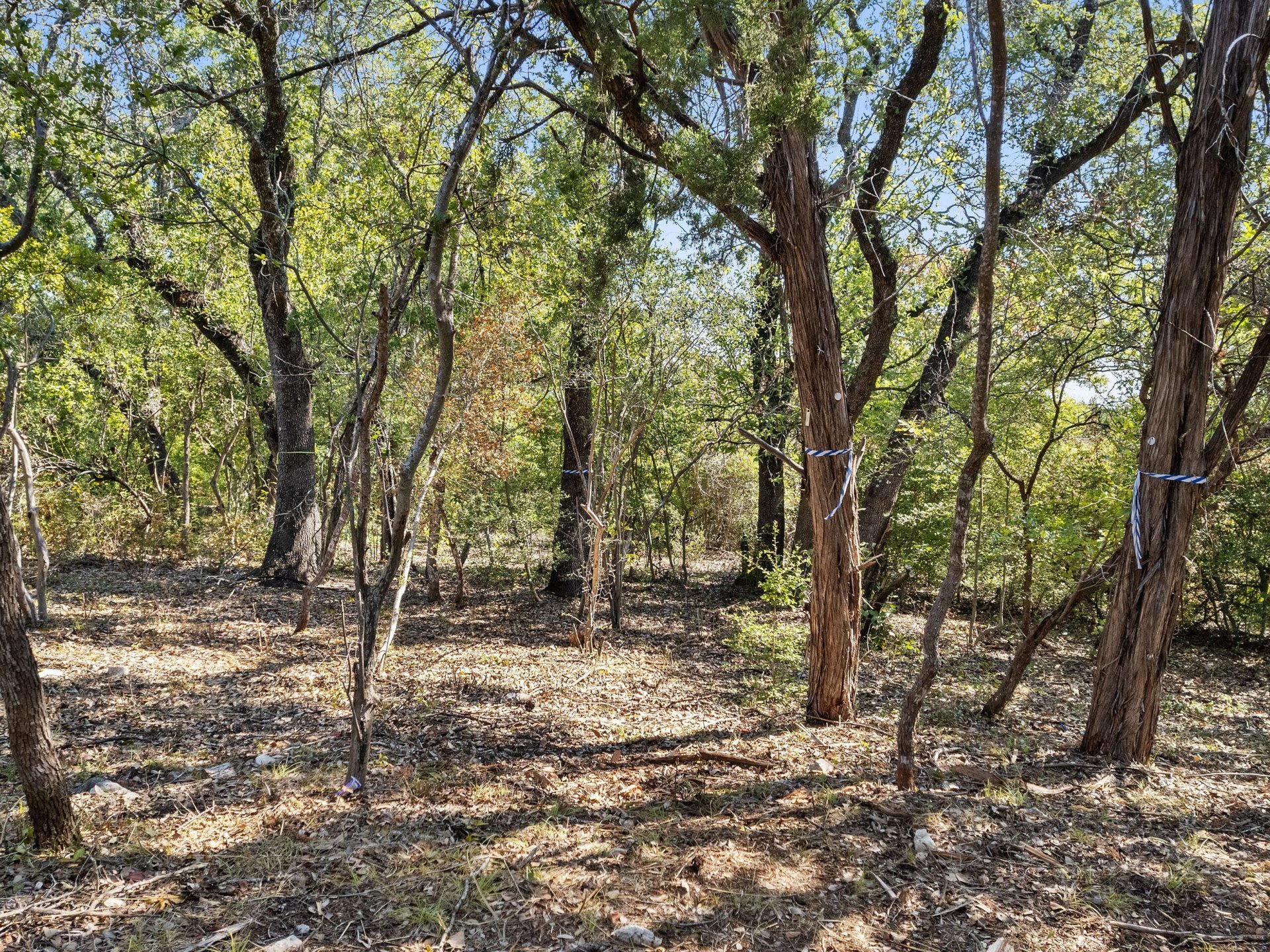 1906 Yaupon Valley Road