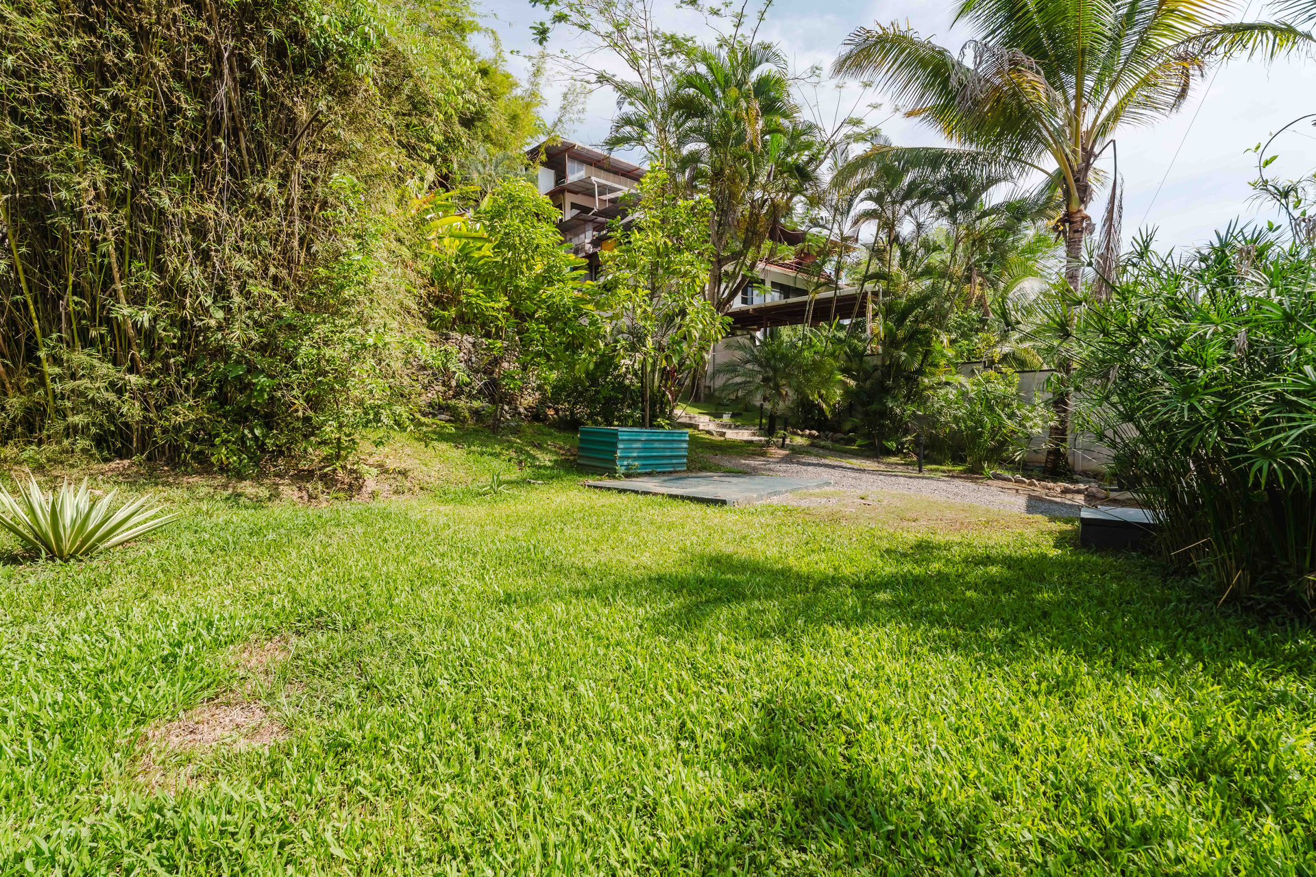 Casa Iguana - Fully Renovated Home Minutes from Marina Pez Vela 