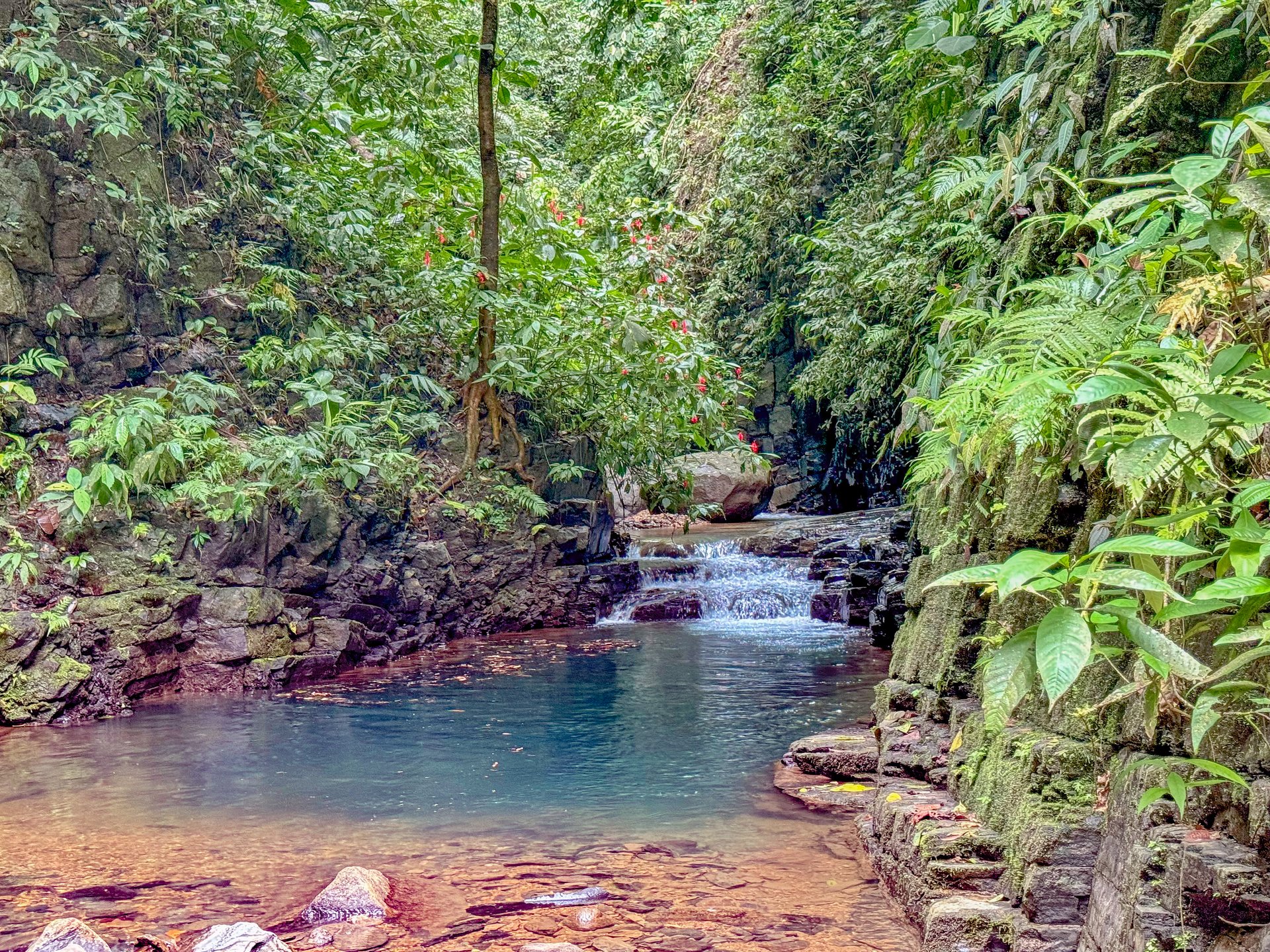 Jungle Retreat with River, Views & 2 Homes in Tres Rios