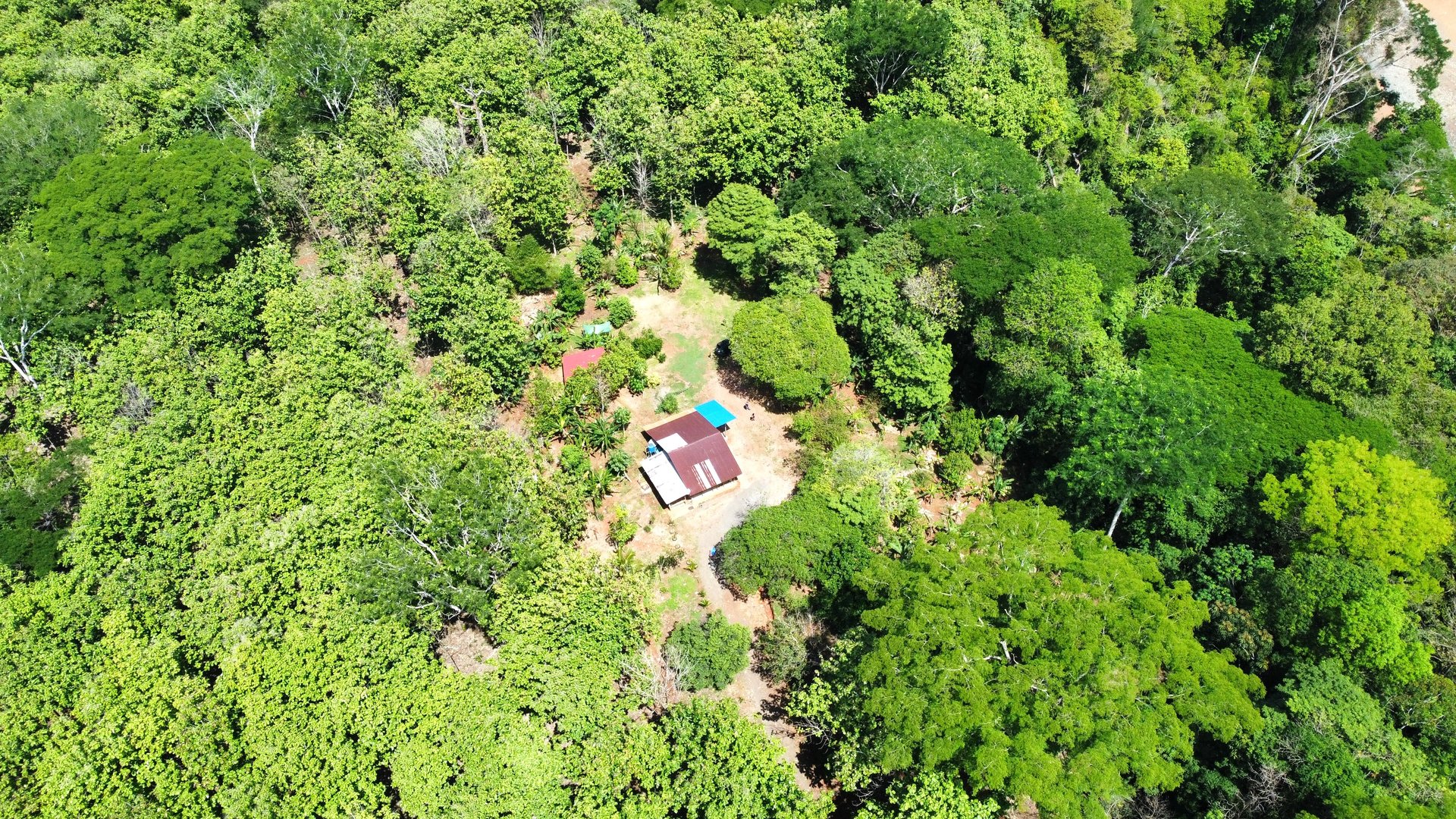 7-Hectare Farm with Teak Plantation, Existing Home & Eco-Development Potential Near Parrita, Costa Rica