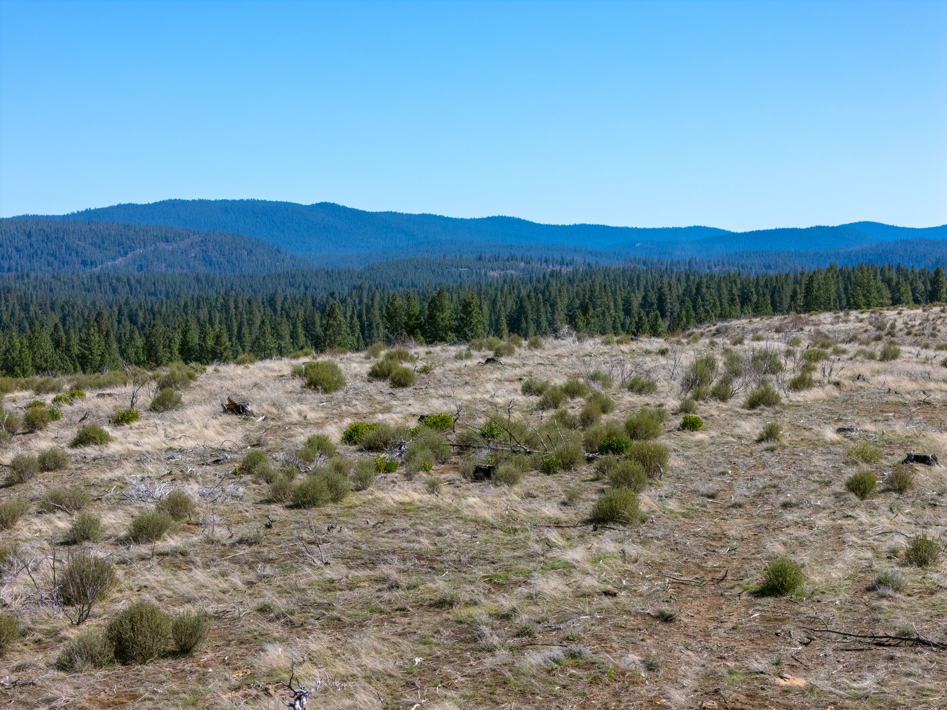 Klamath Basin