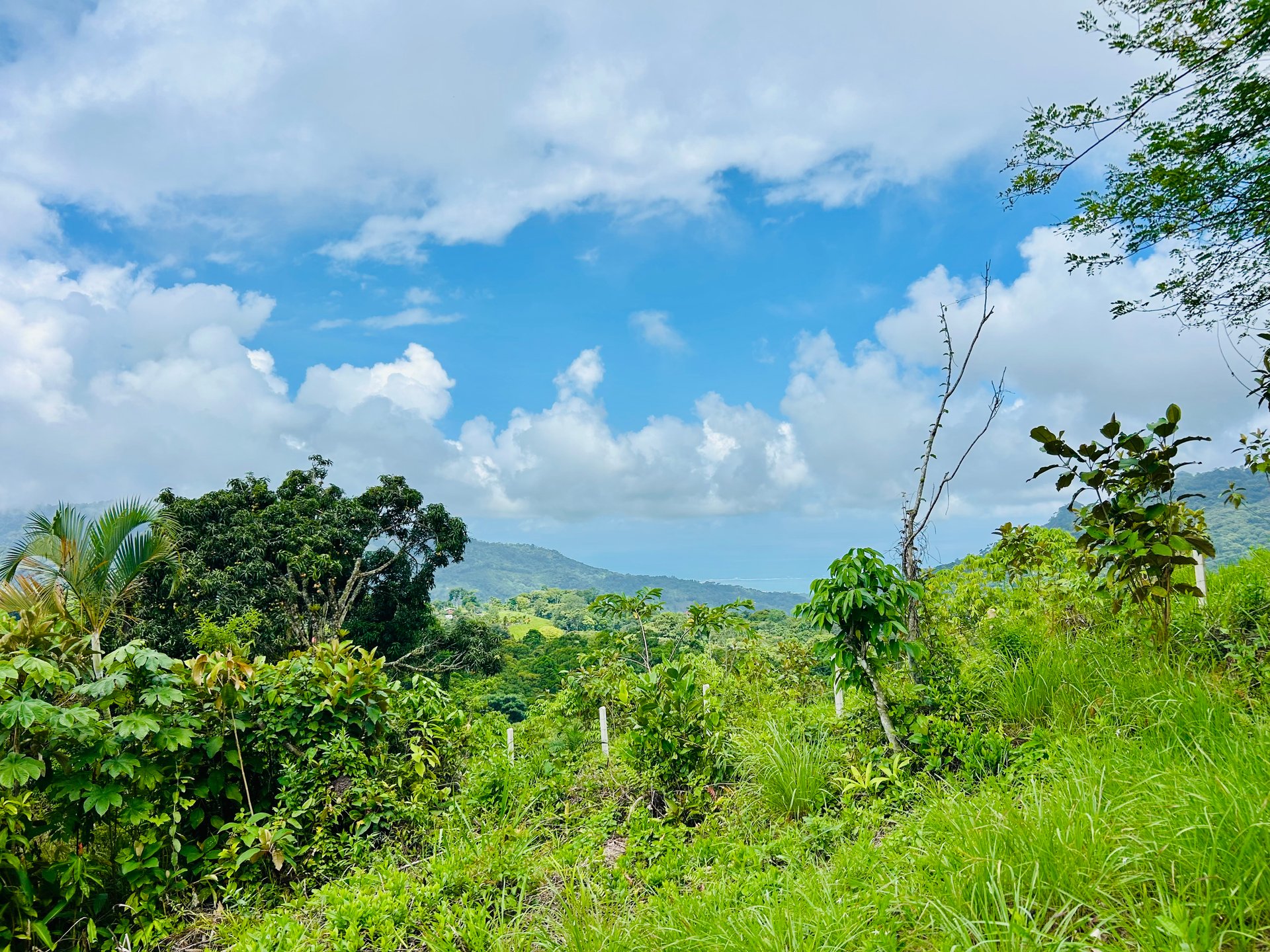 Ocean & Mountain View Lot with Multiple Building Sites-20 Minutes from Uvita