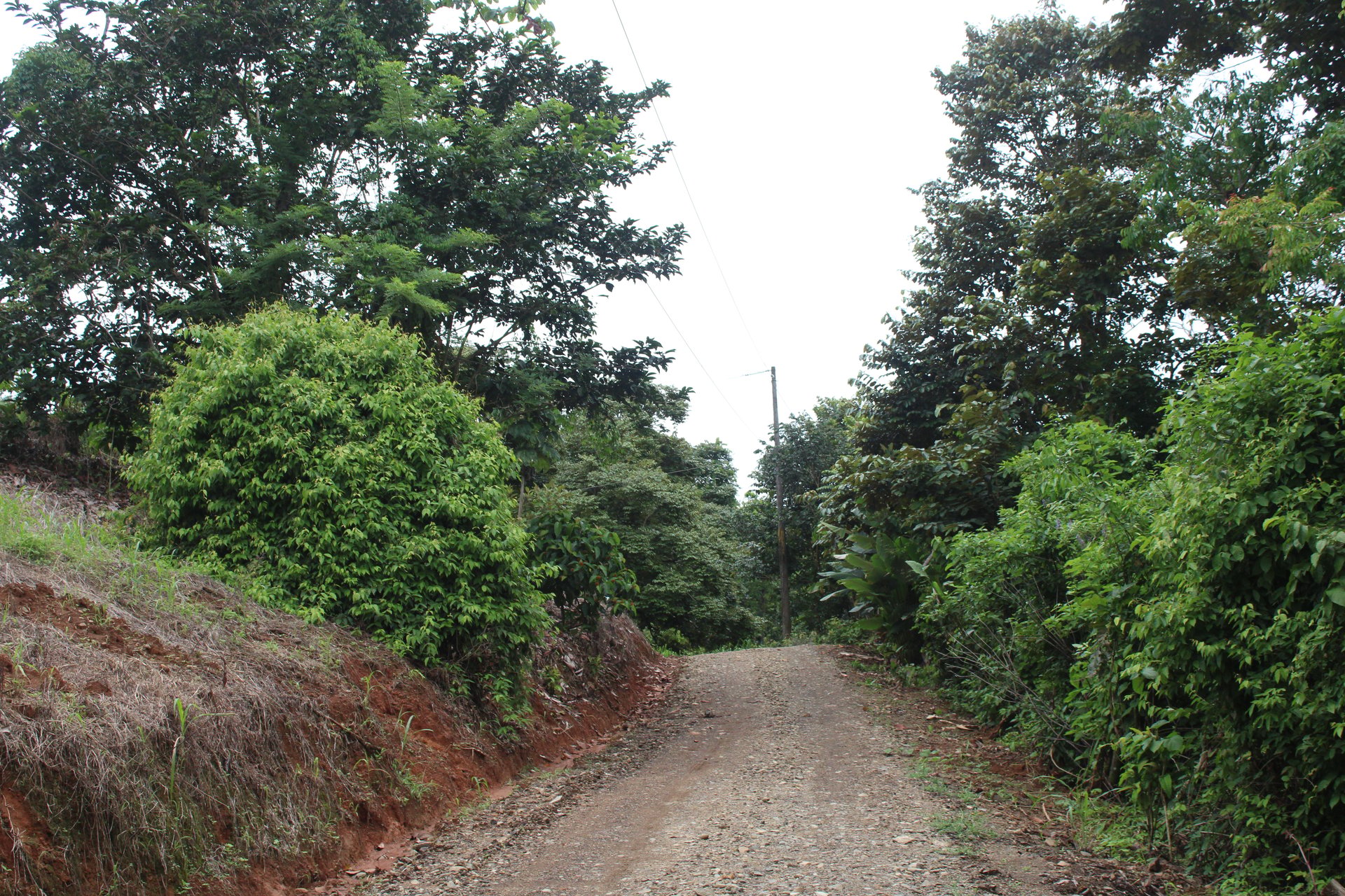 Spectacular and Affordable Property close to Dominical