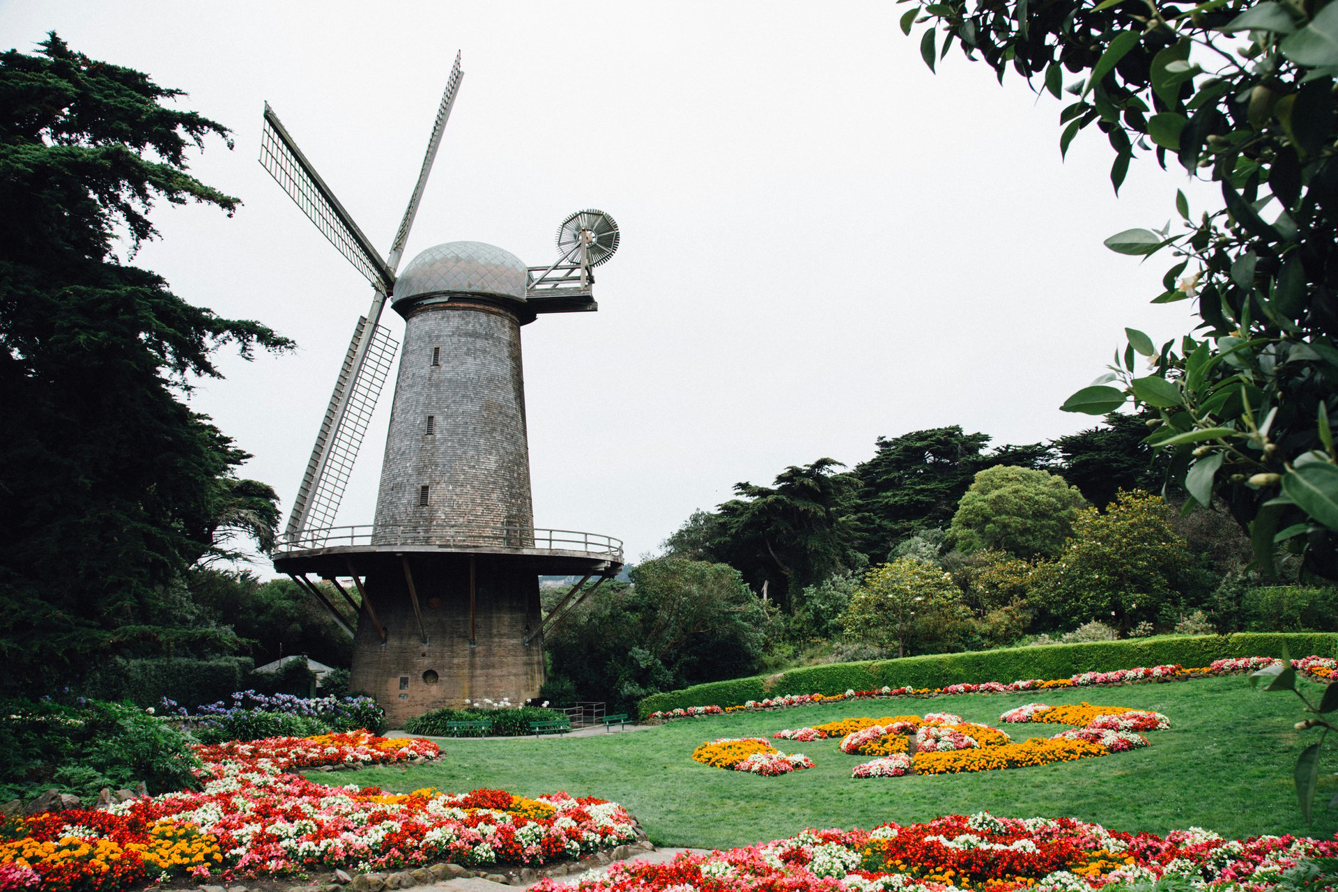 Dutch Windmill surrounded by flowers in Golden Gate Park