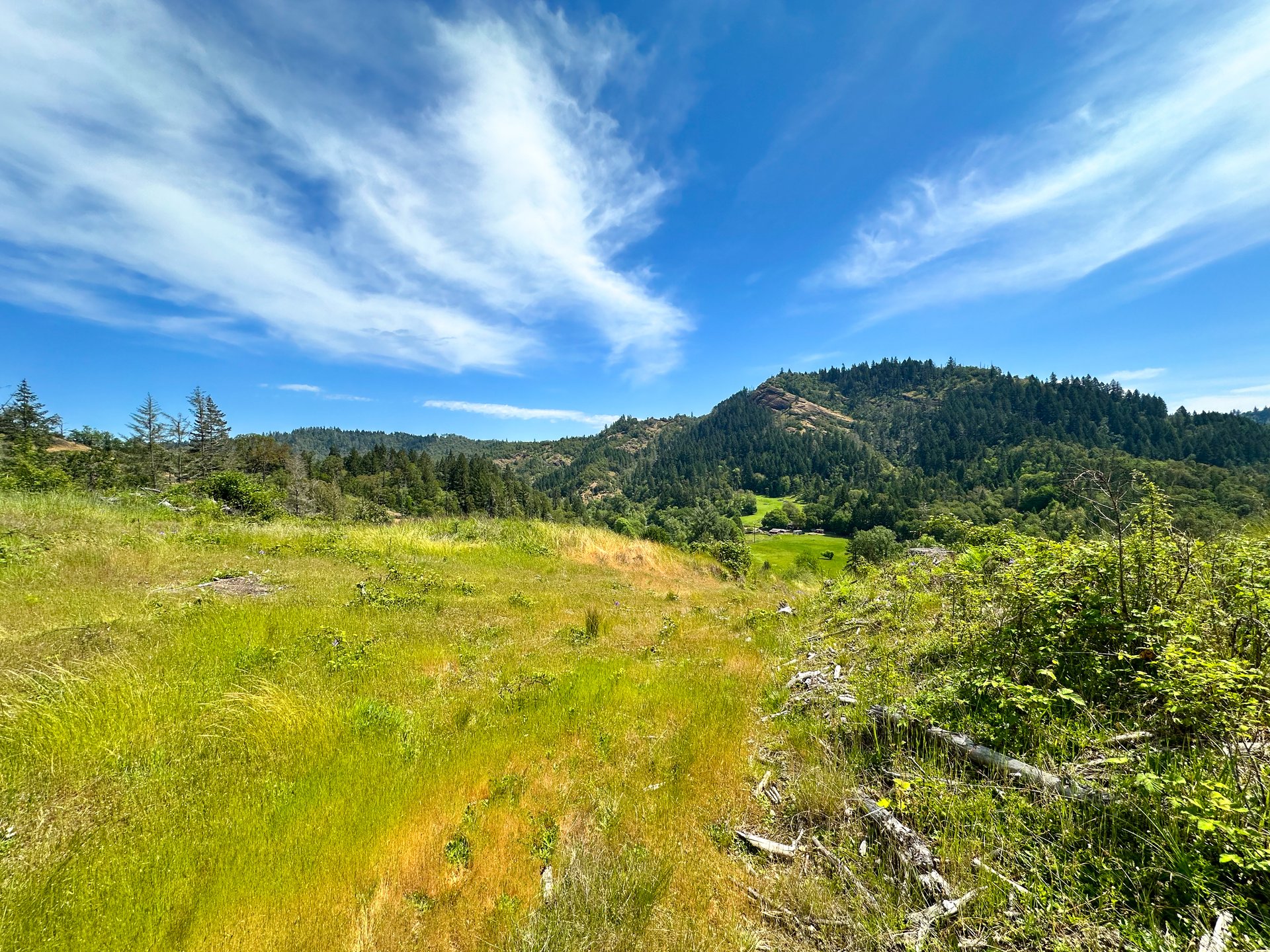 STRICKLAND CANYON HOMESITE
