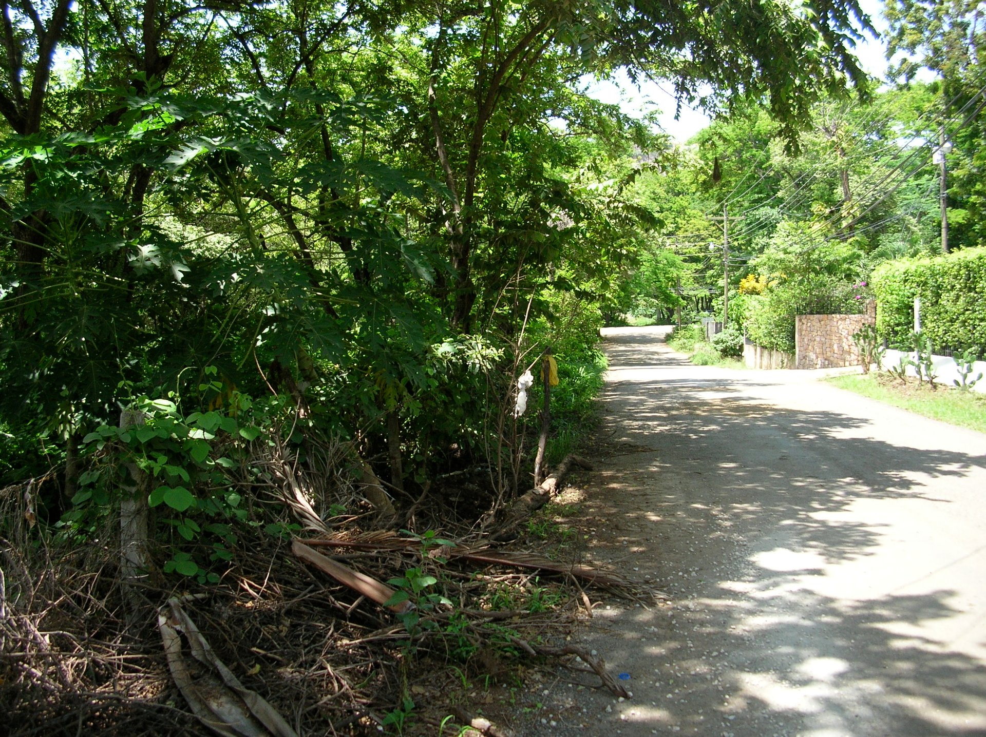 Beachside Corner Lot with Water, Playa Hermosa, Carrillo, Guanacaste