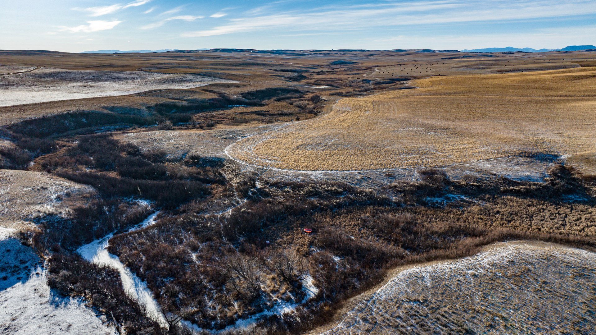 Blood Coulee Ranch