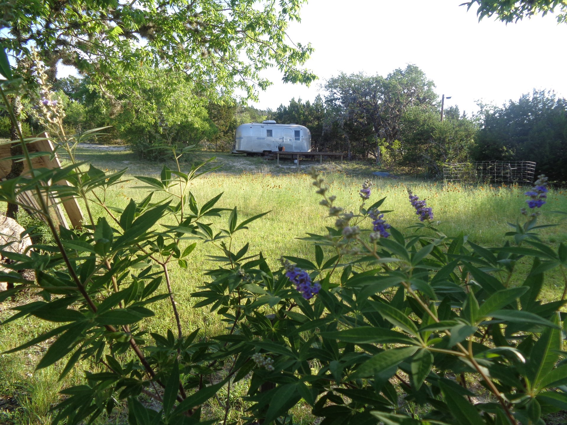 684 Stoneleigh Ranch Road 