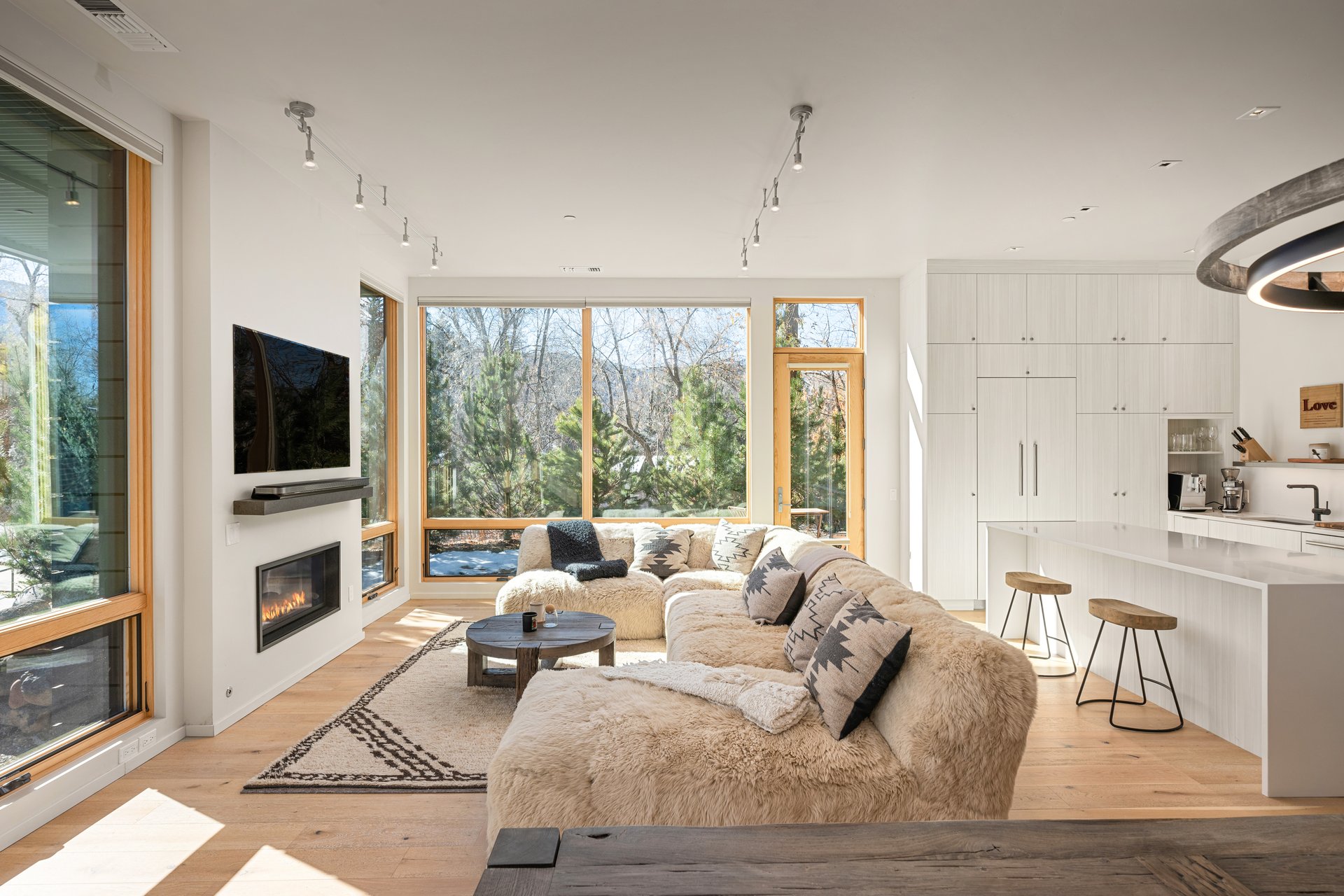 Contemporary Condo at Park Modern