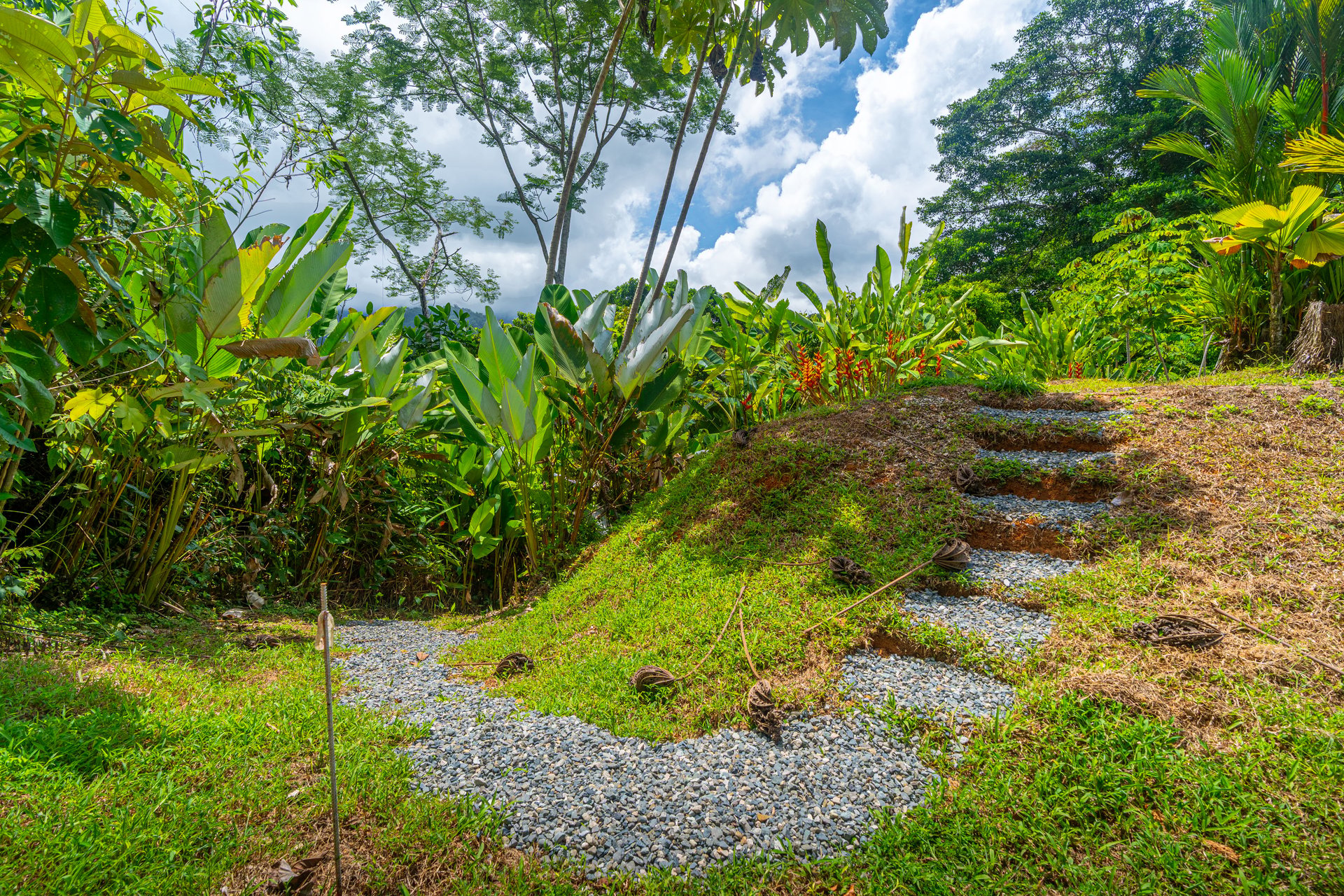 Amazing Mountain View and Ocean View House and Guest House on 4.5 Acres of land in Ojochal