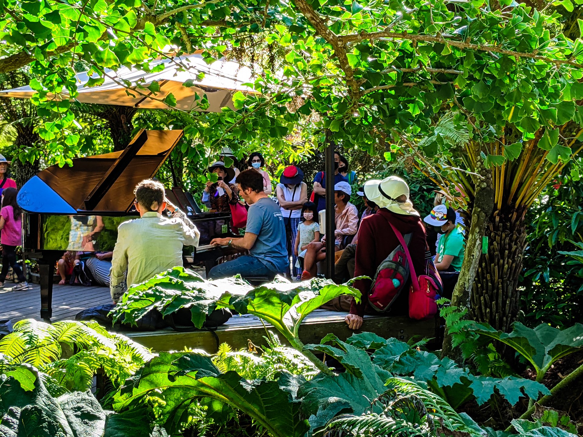 People watching a piano performance in Golden Gate Park Botanical Garden