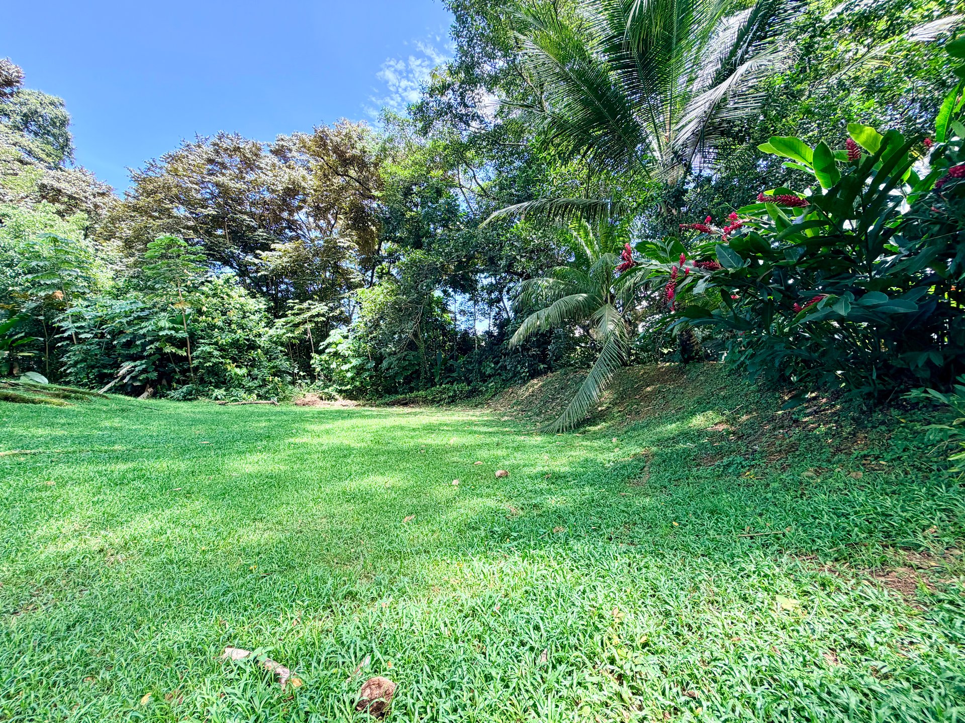 Riverside Cabin in Uvita | 0.98-Acre Estate with Room to Expand