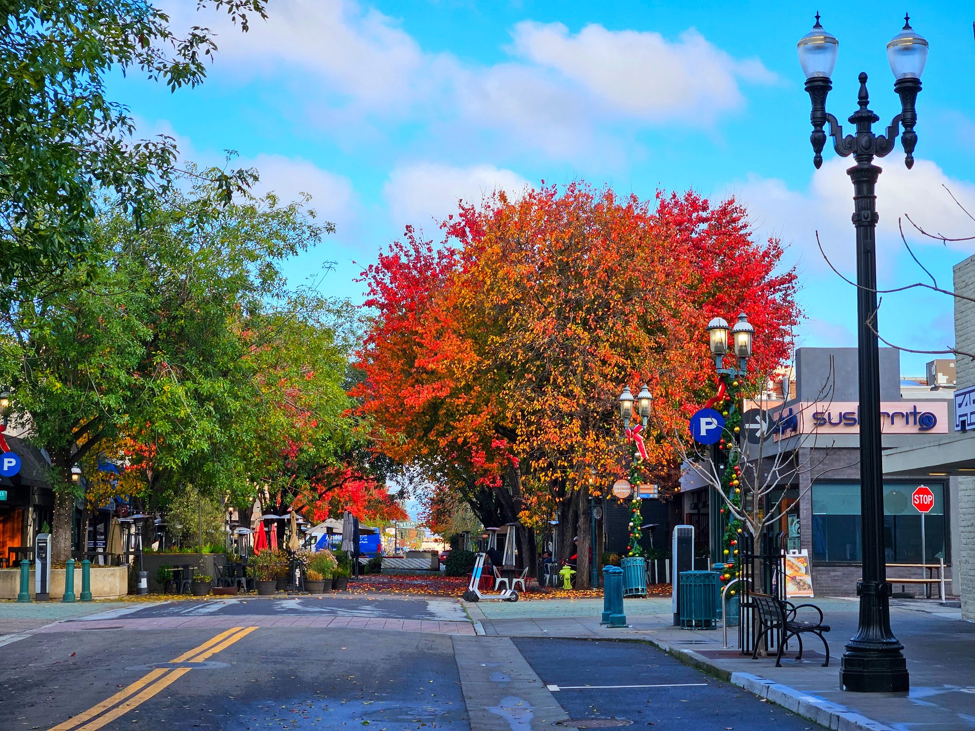 Downtown Redwood City street with restaurants, trees, and pedestrian spaces