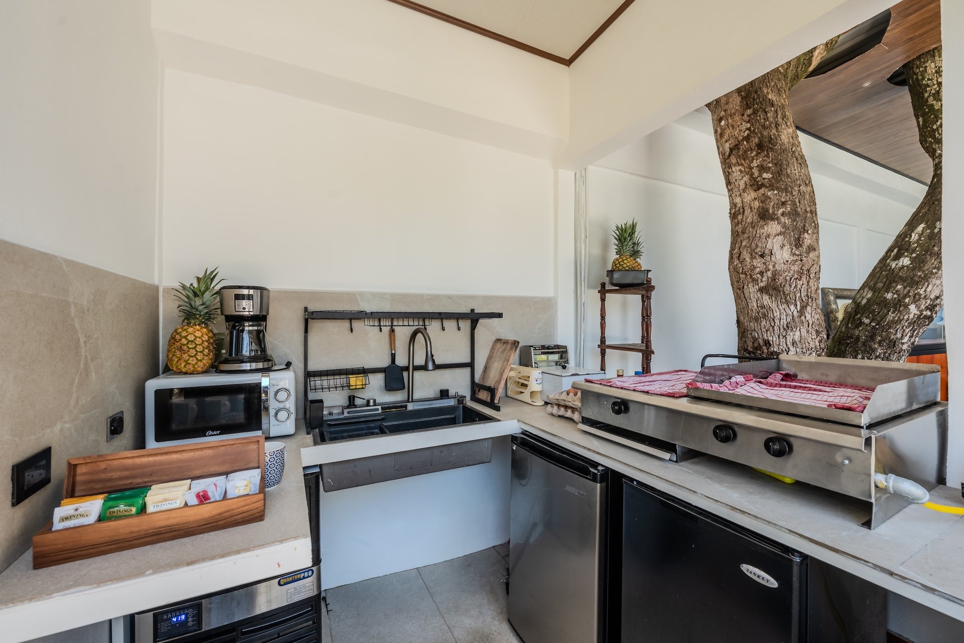 Turnkey Boutique Hotel for Sale in Bahía Ballena, Uvita – Los Papyrus (Built 2025)