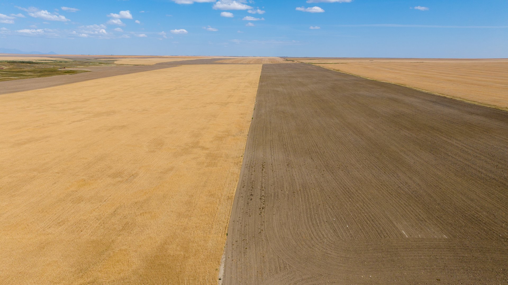 Hill County Organic & CRP Farm