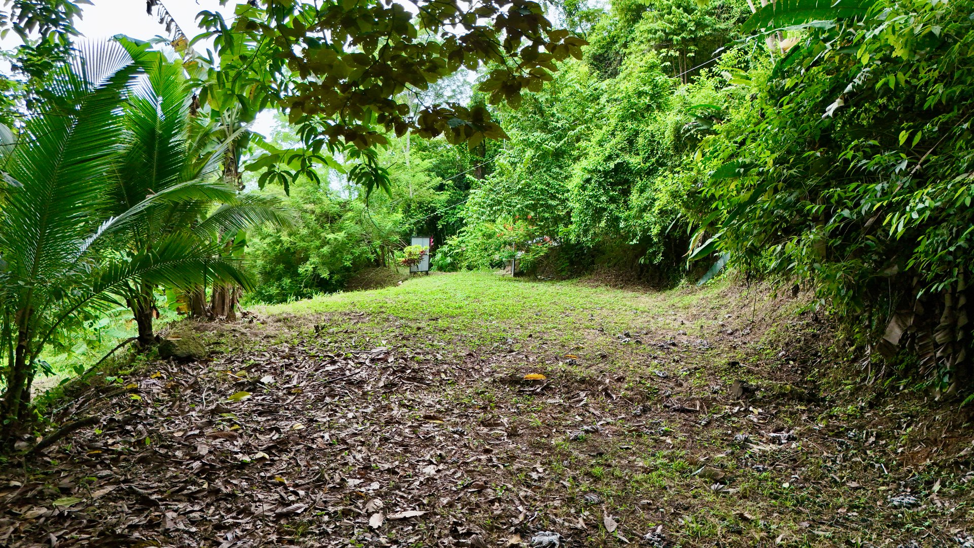 Tres Ríos Jungle Sanctuary | Ready-to-Build Lot Surrounded by Nature