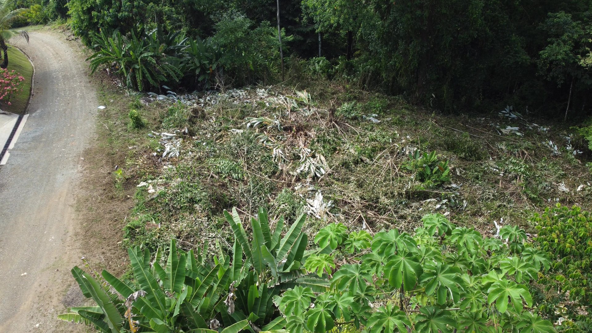 Ojochal - 1 Acre Ready To Build Jungle Lot, Ocean Breezes in Wildlife Corridore