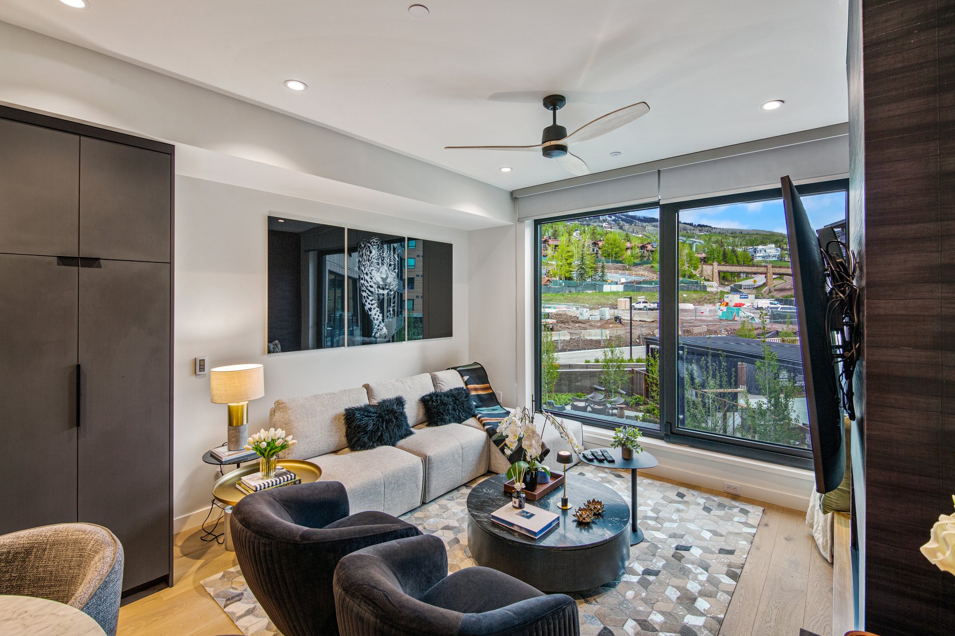 Modern Snowmass Retreat
