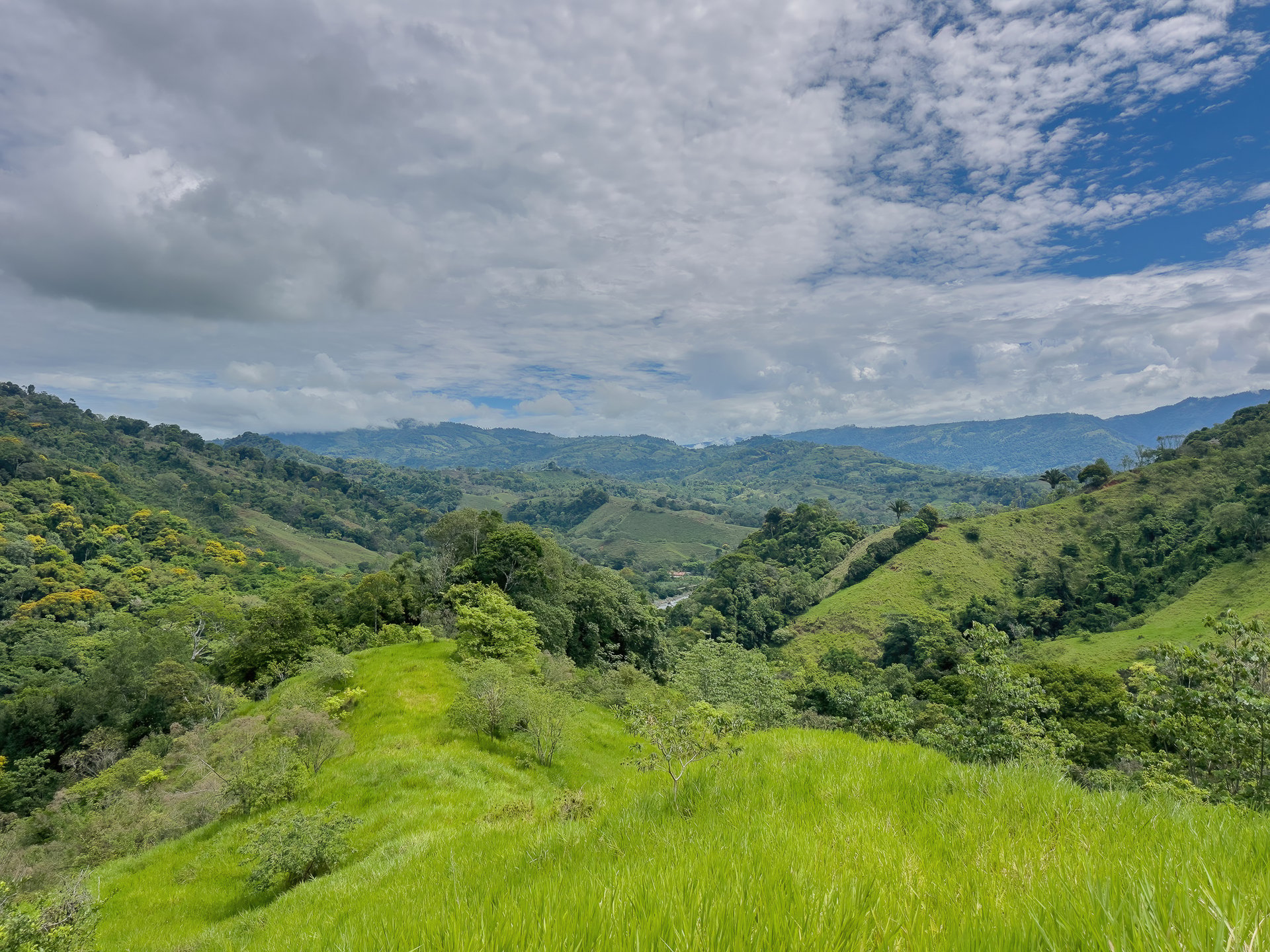 60+ Hectares in Platanillo | Own Your Own Mountain in Costa Rica