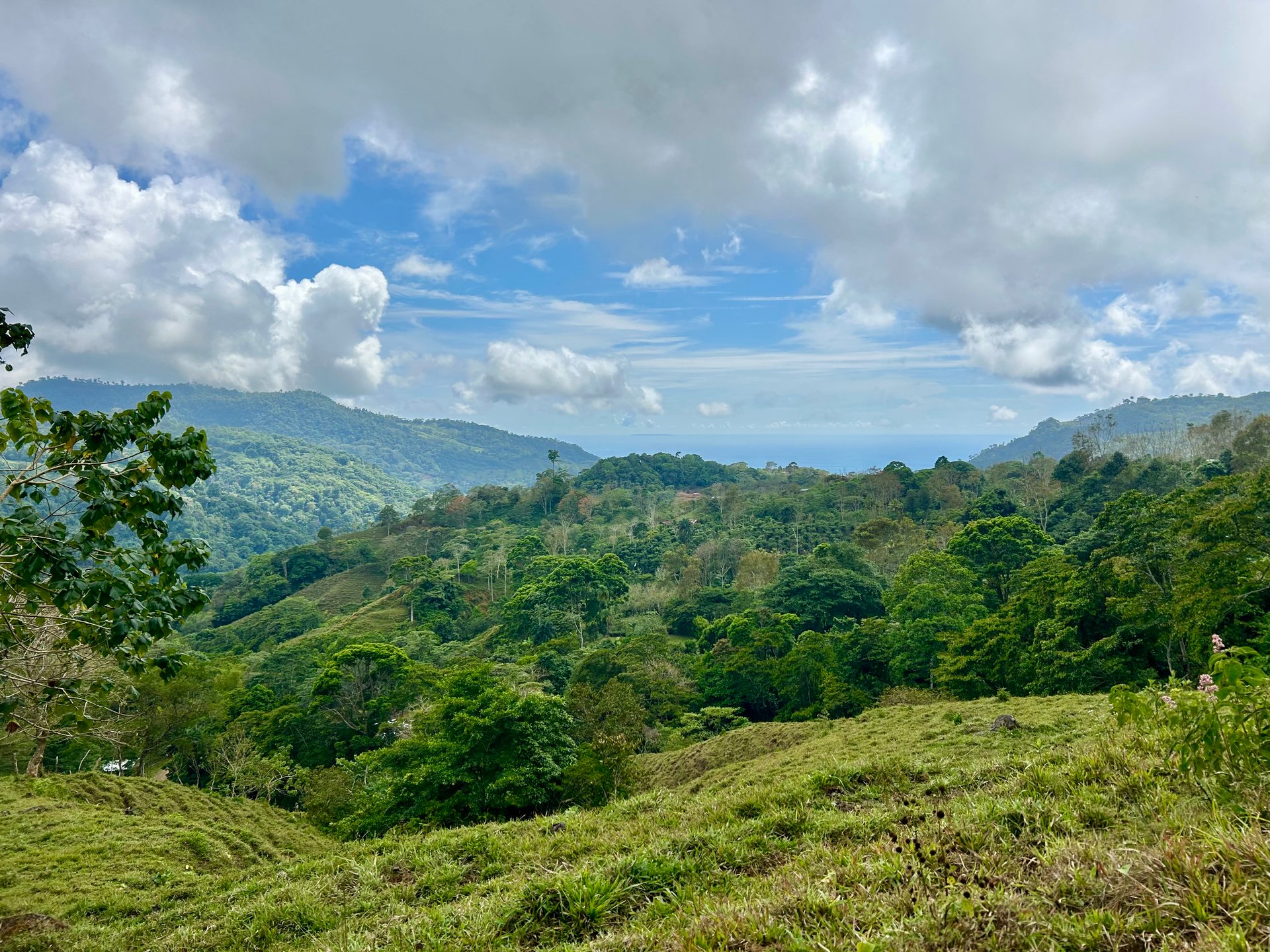 Gorgeous Land in San Luis Morete - Uvita - Over 17 Acres