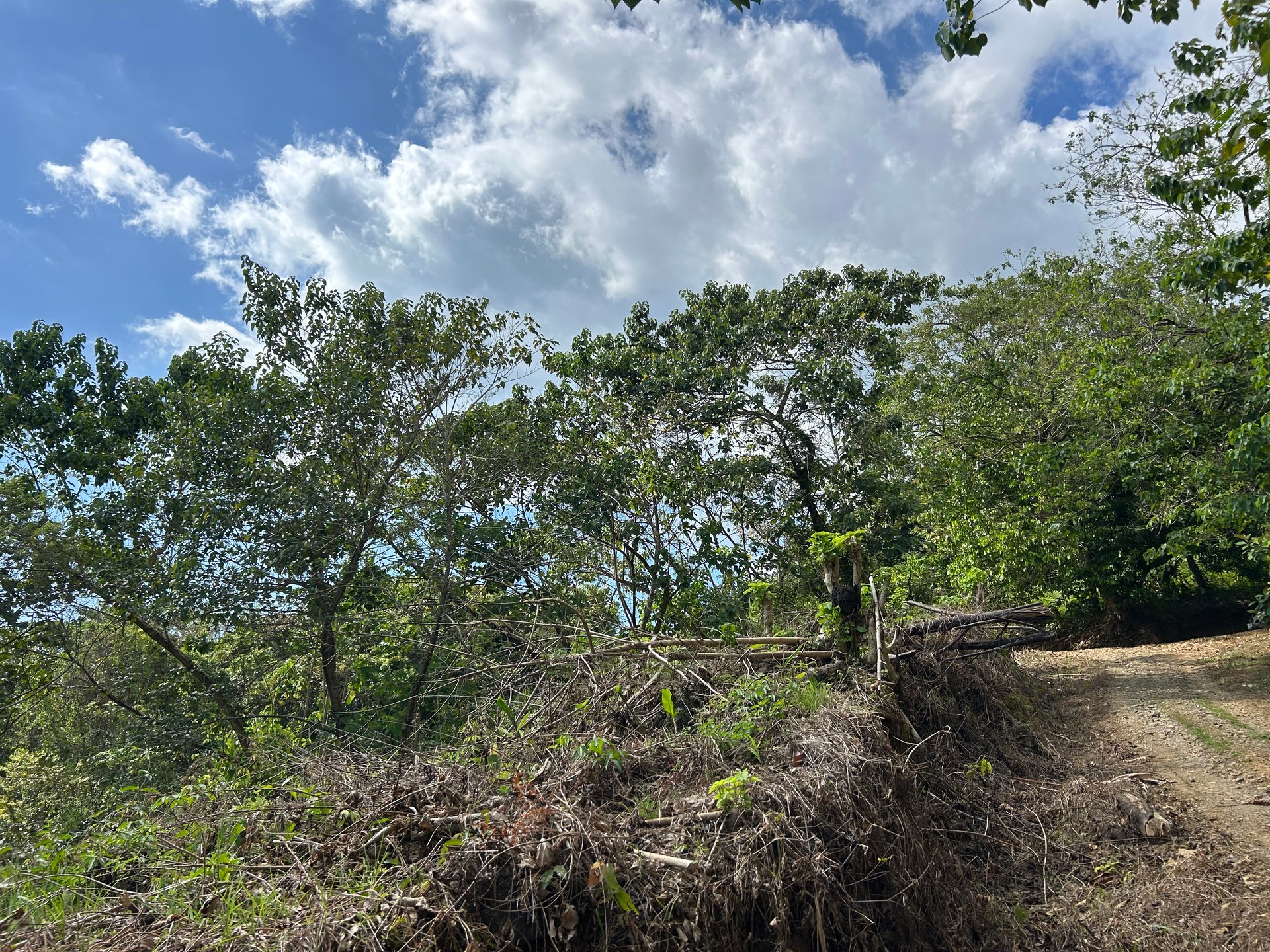 Price Reduced! Ocean View Lots in San Buenas – Just $70K Each