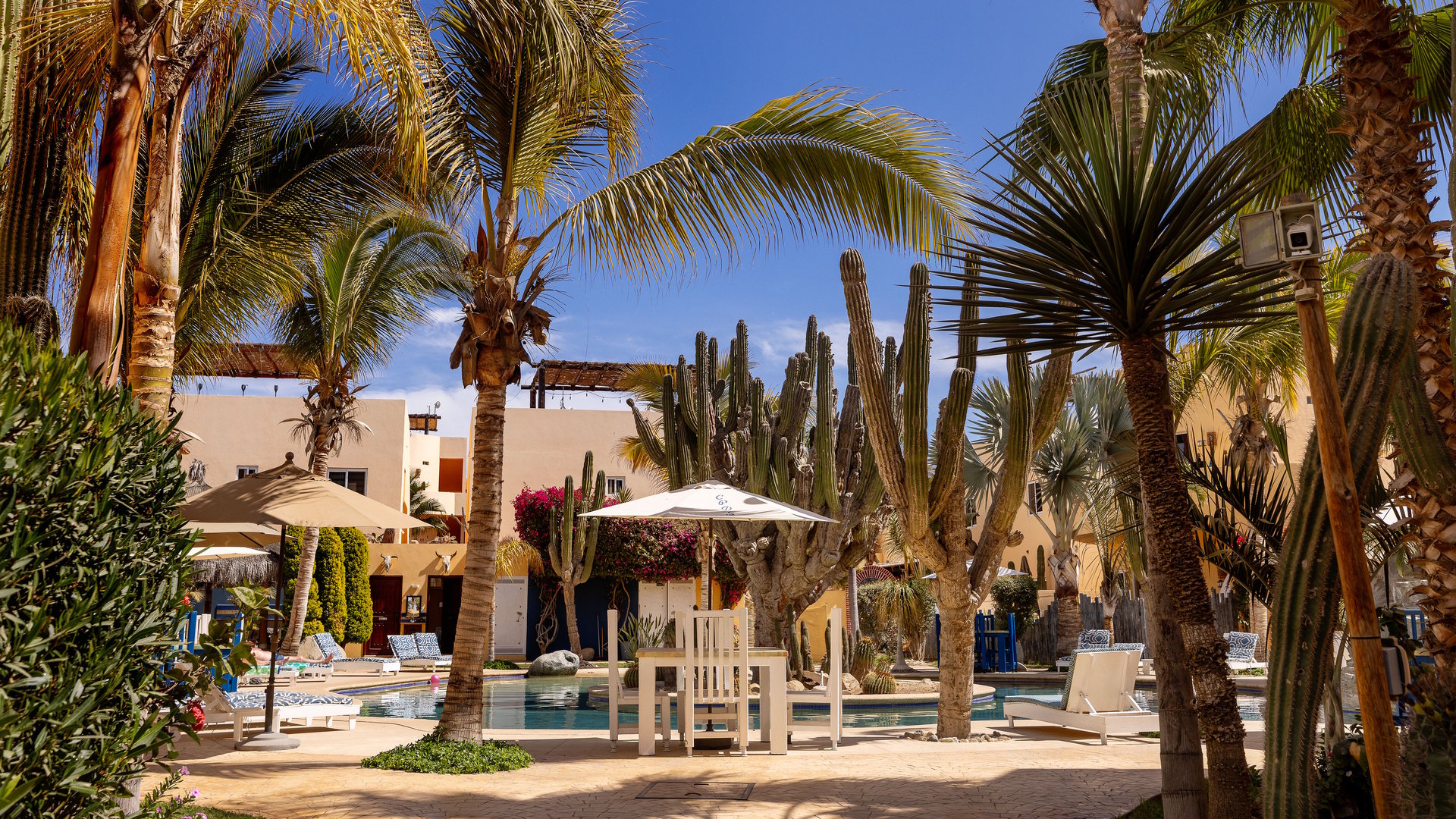 Puesta Del Sol Studio 1B