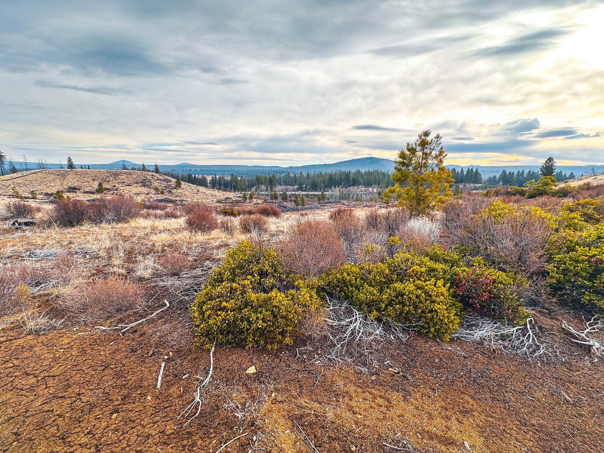 Klamath Basin
