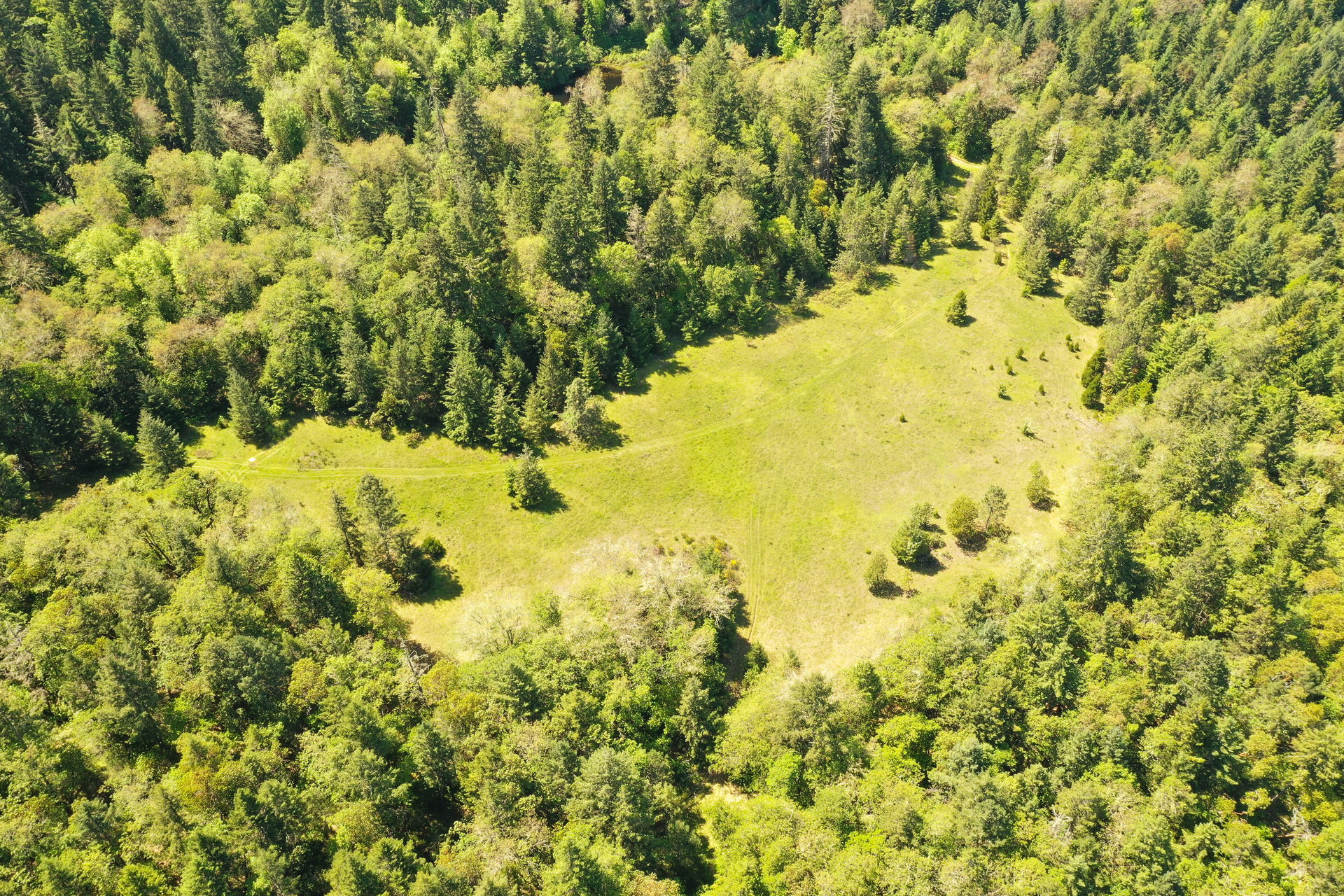 WAGON ROAD HOMESTEAD