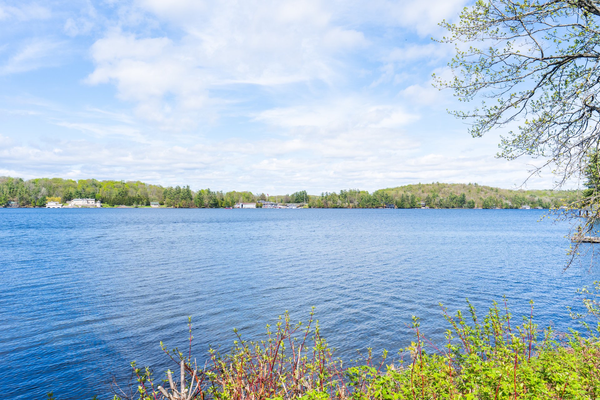 Lake Joseph