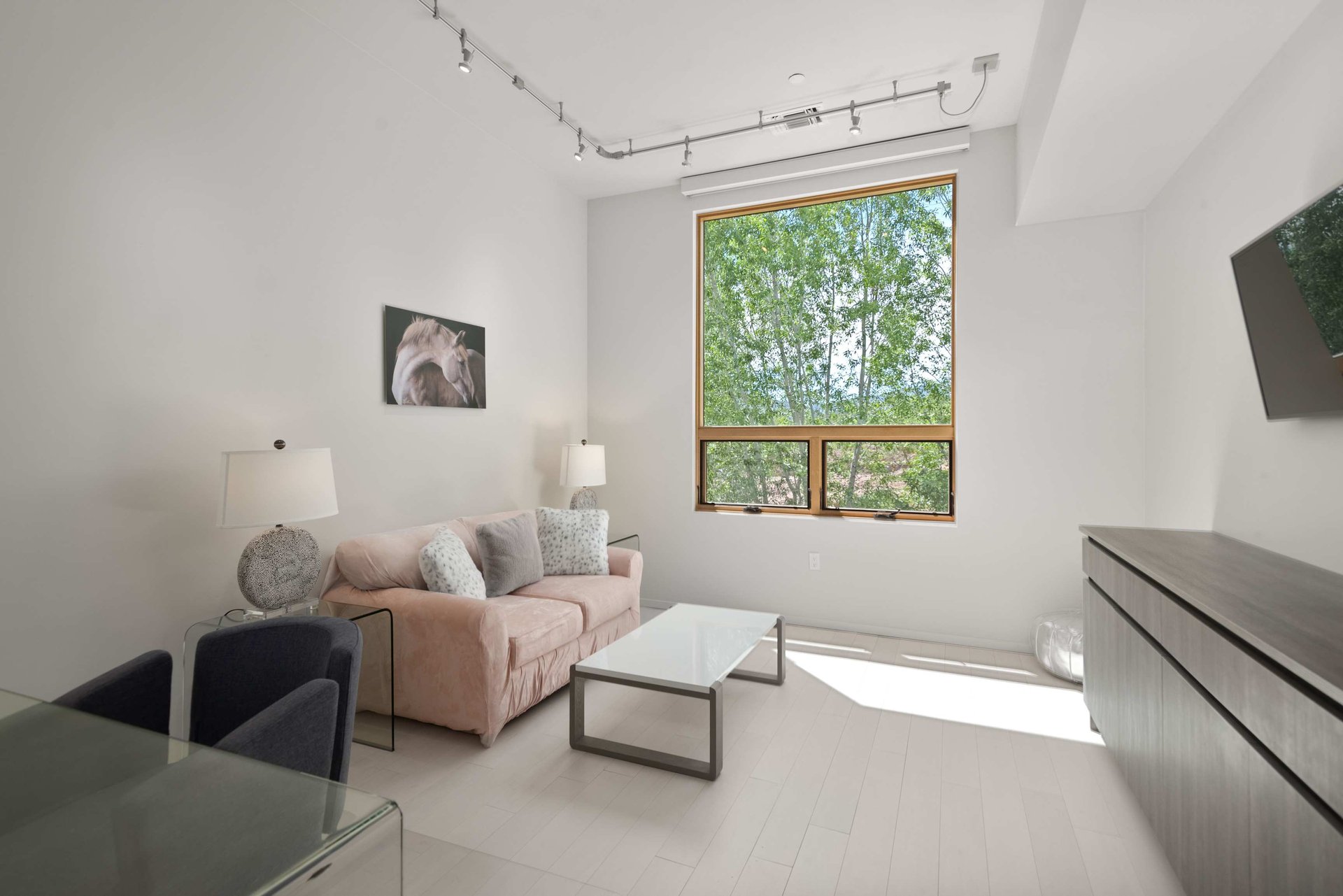 Stunning Top floor Park Modern Condo in Basalt 