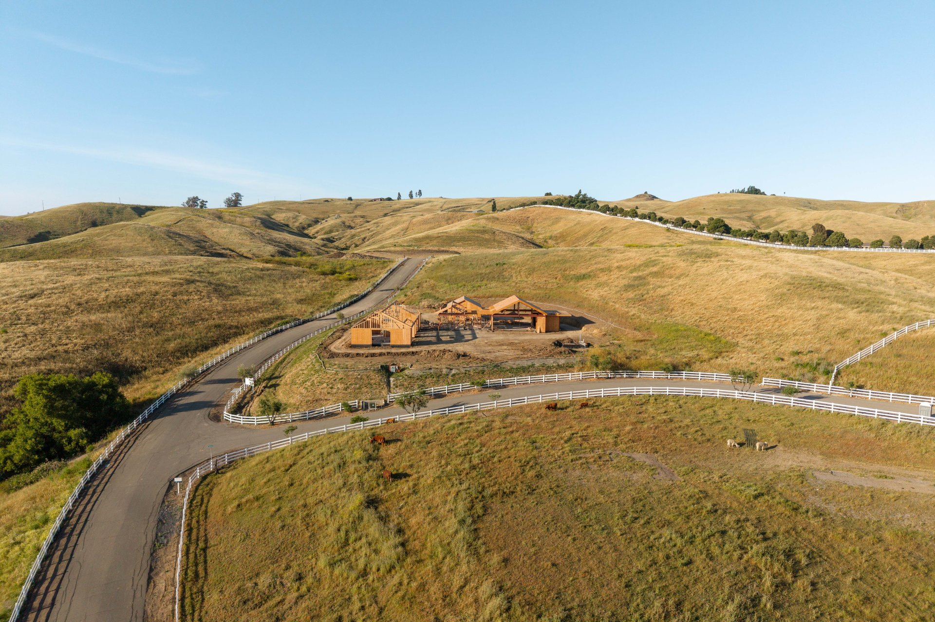 The Vineyard Estates | Chardonnay