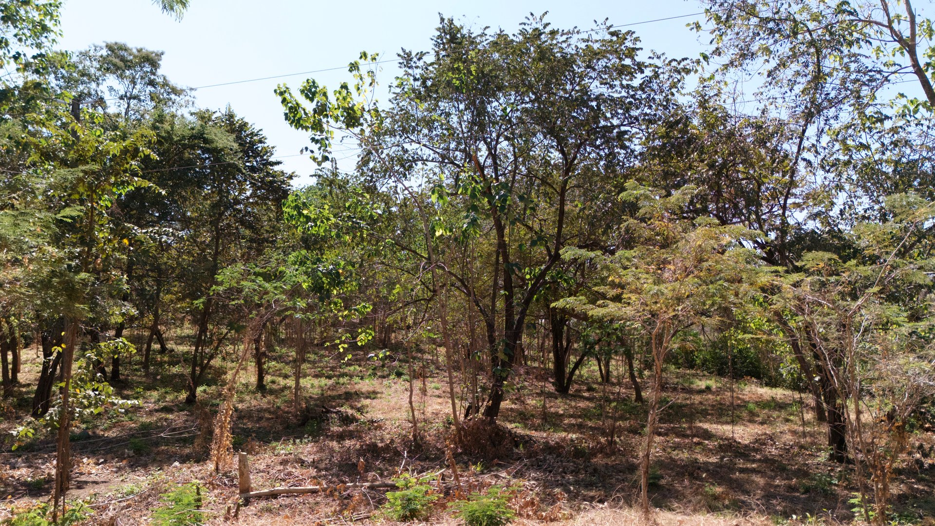 Beautiful 1.46-Acre Lot in Playa Grande