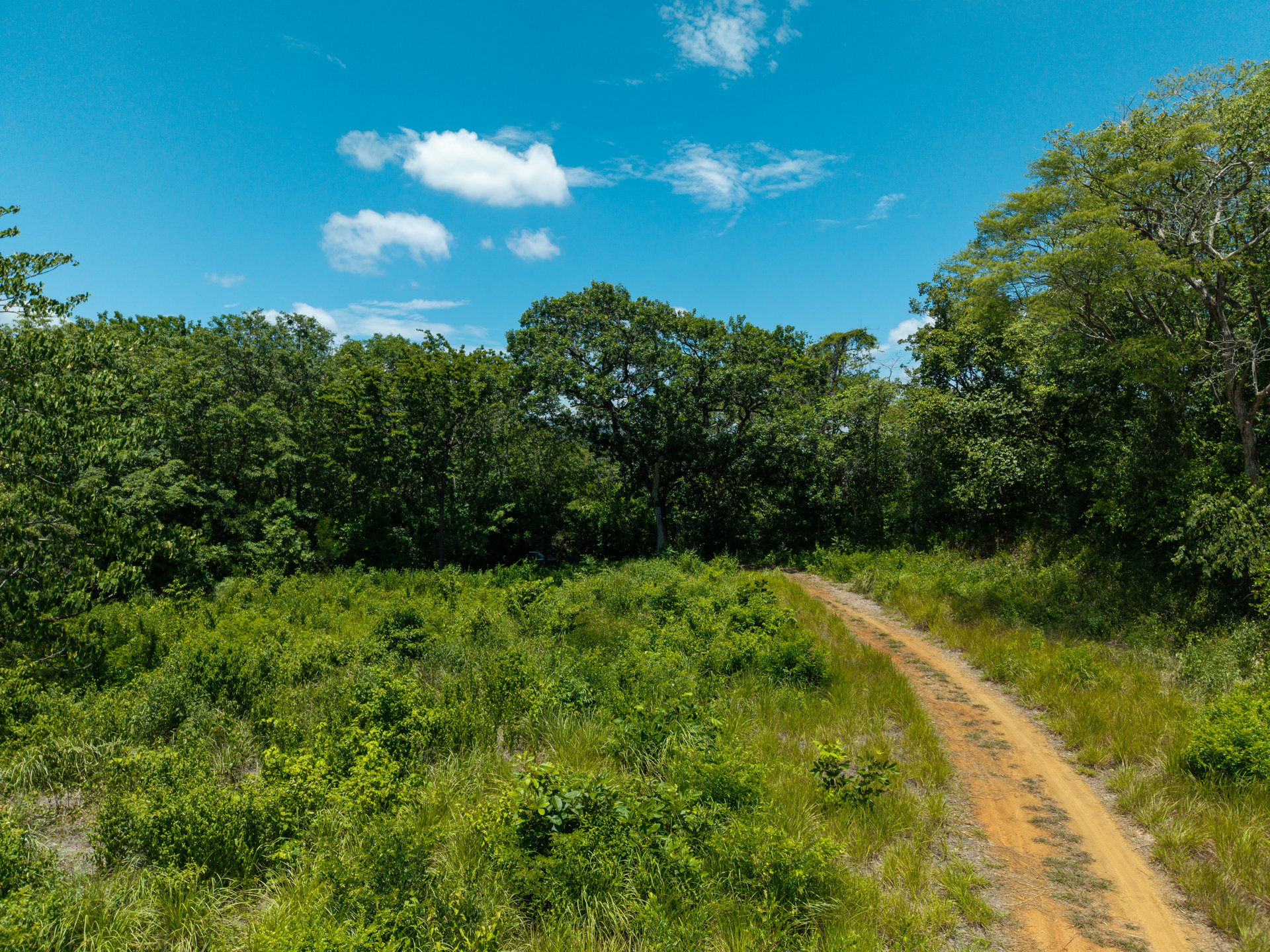 Rancho Villareal Lot 101