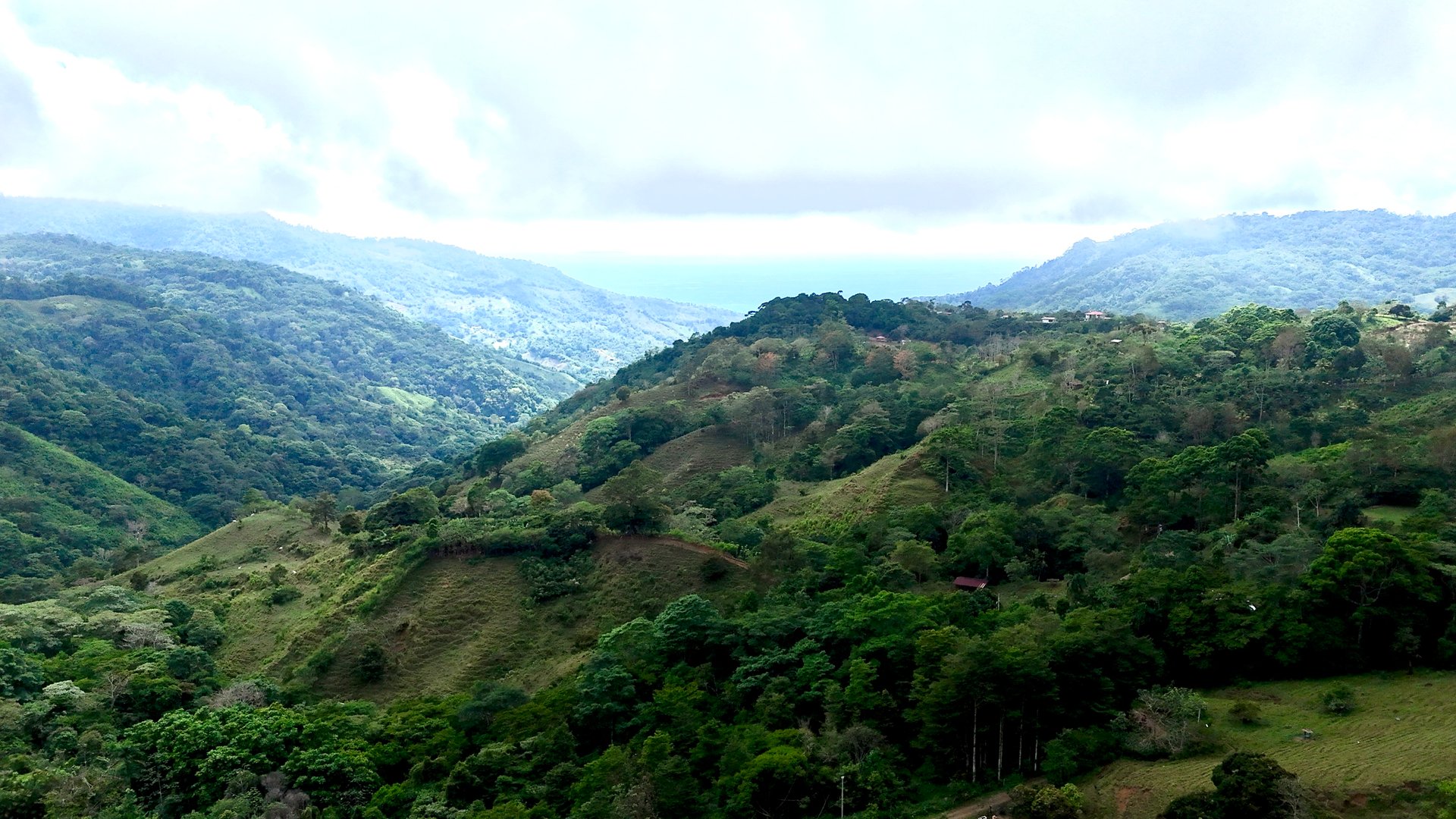 Gorgeous Land in San Luis Morete - Uvita - Over 17 Acres