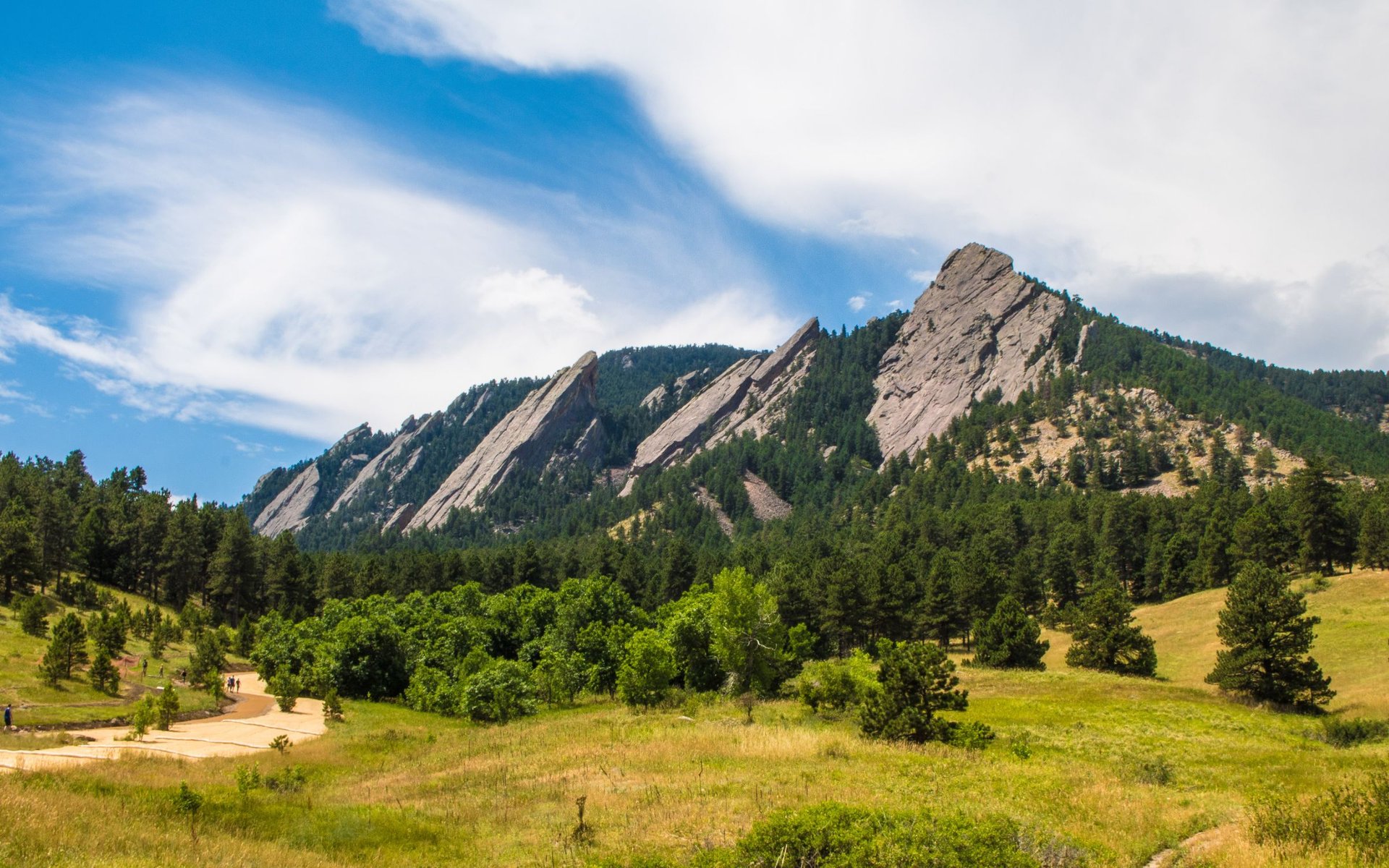 Explore Woodland Park Neighborhoods | A Comprehensive Guide