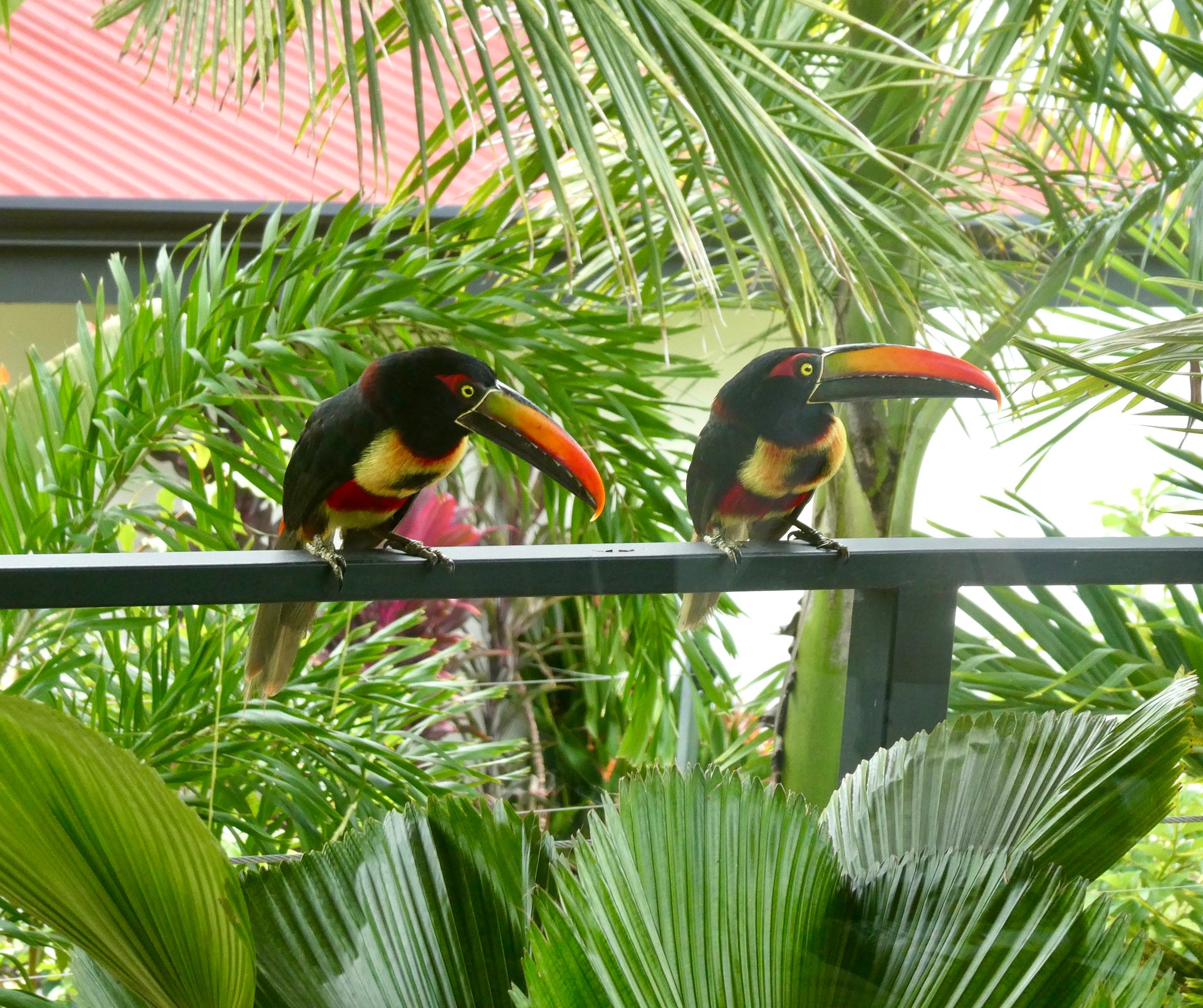 2-Bedroom Gem with Stunning Tropical Landscape in Uvita